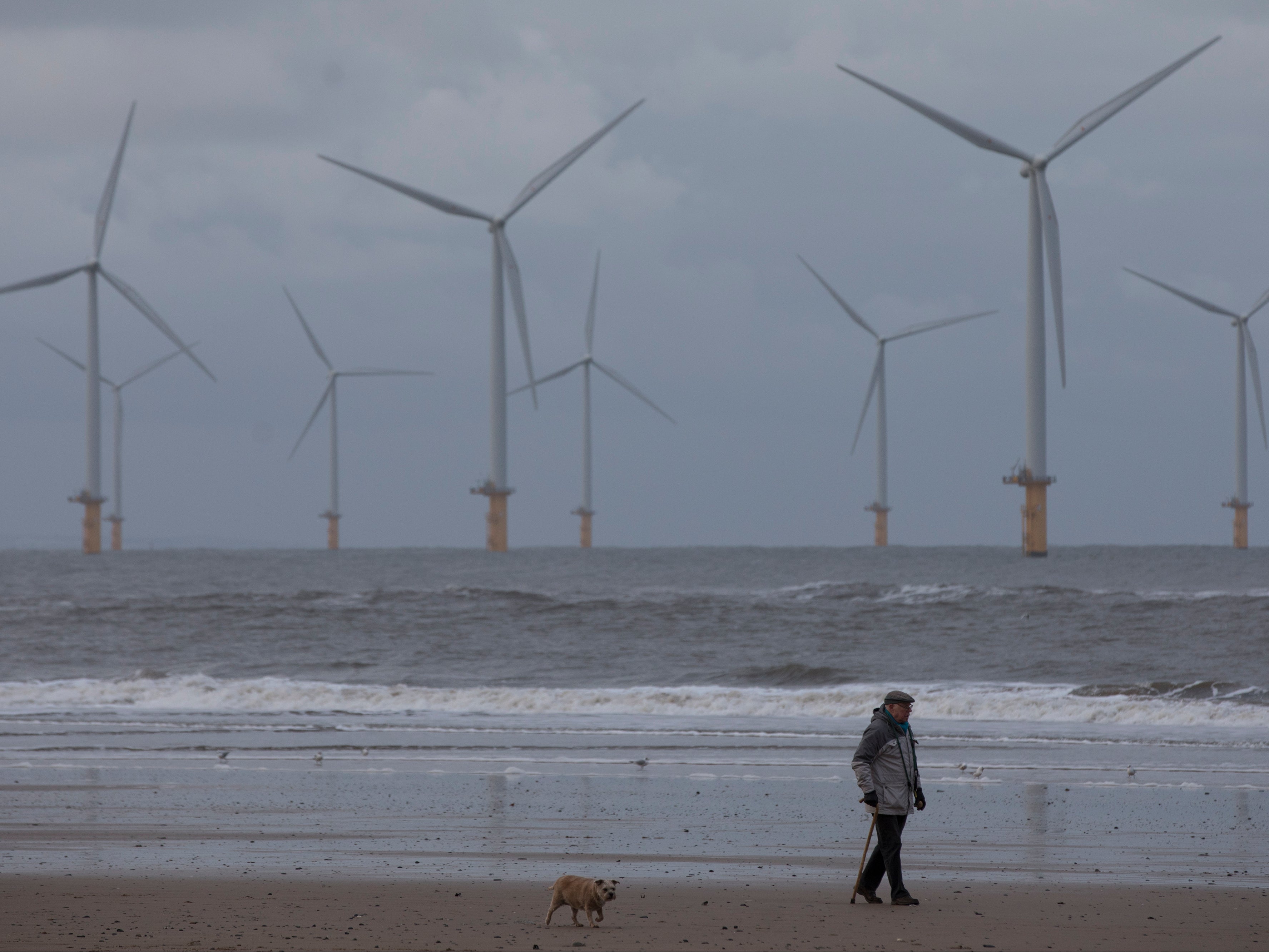 A man walks along the shoreline in front of Teesside wind farm in the North Sea off Redcar