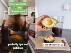 FDA warns avocado in water hack may cause salmonella and listeria poisoning 