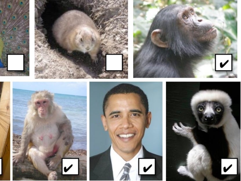Michigan teacher placed on leave after including photo of Obama in assignment about primates