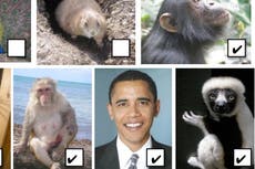 Michigan teacher placed on leave after including photo of Obama in assignment about primates