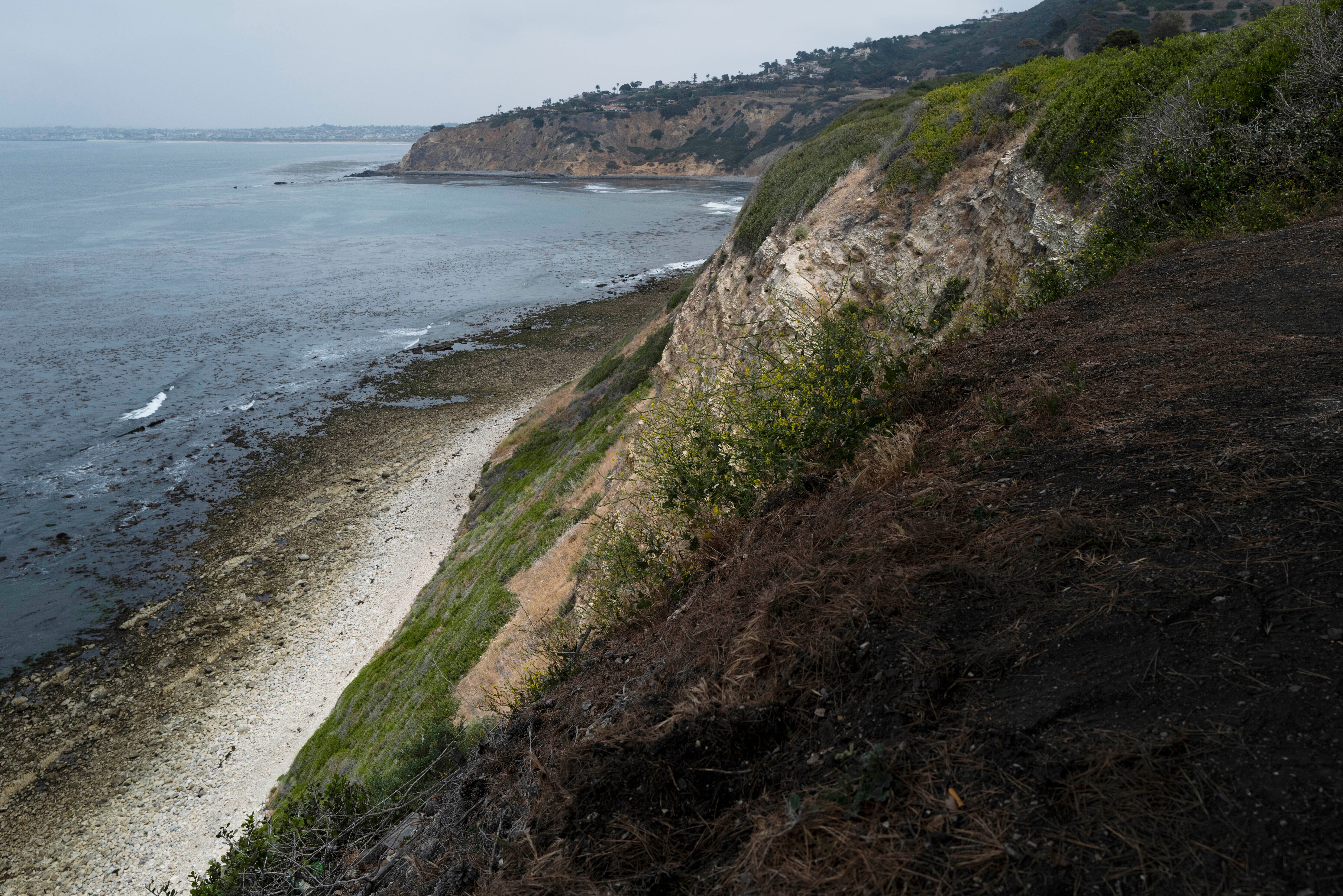 California Ocean Cliff Death