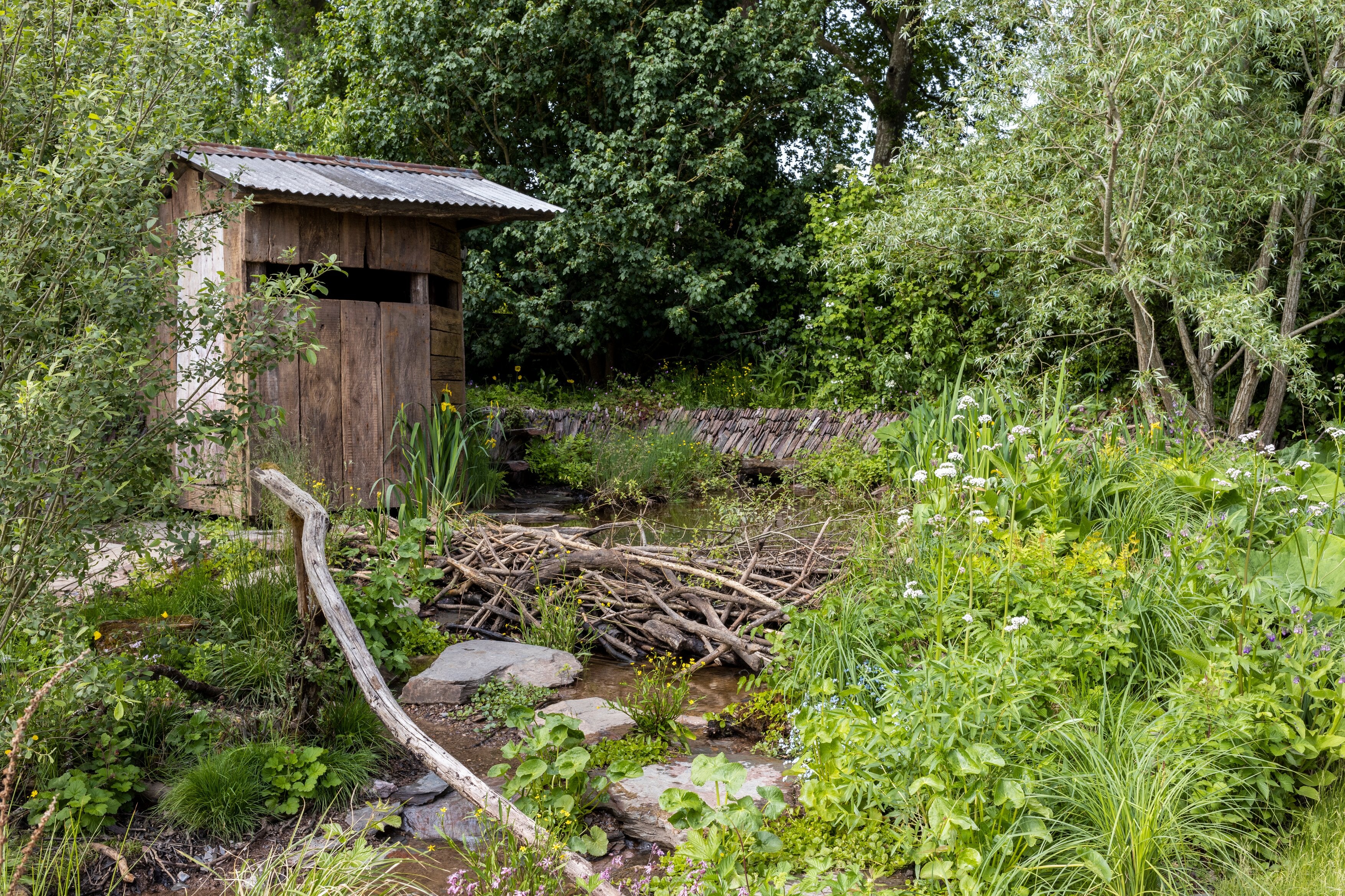 A Rewilding Britain Landscape designed by Lulu Urquhart and Adam Hunt (RHS/PA)