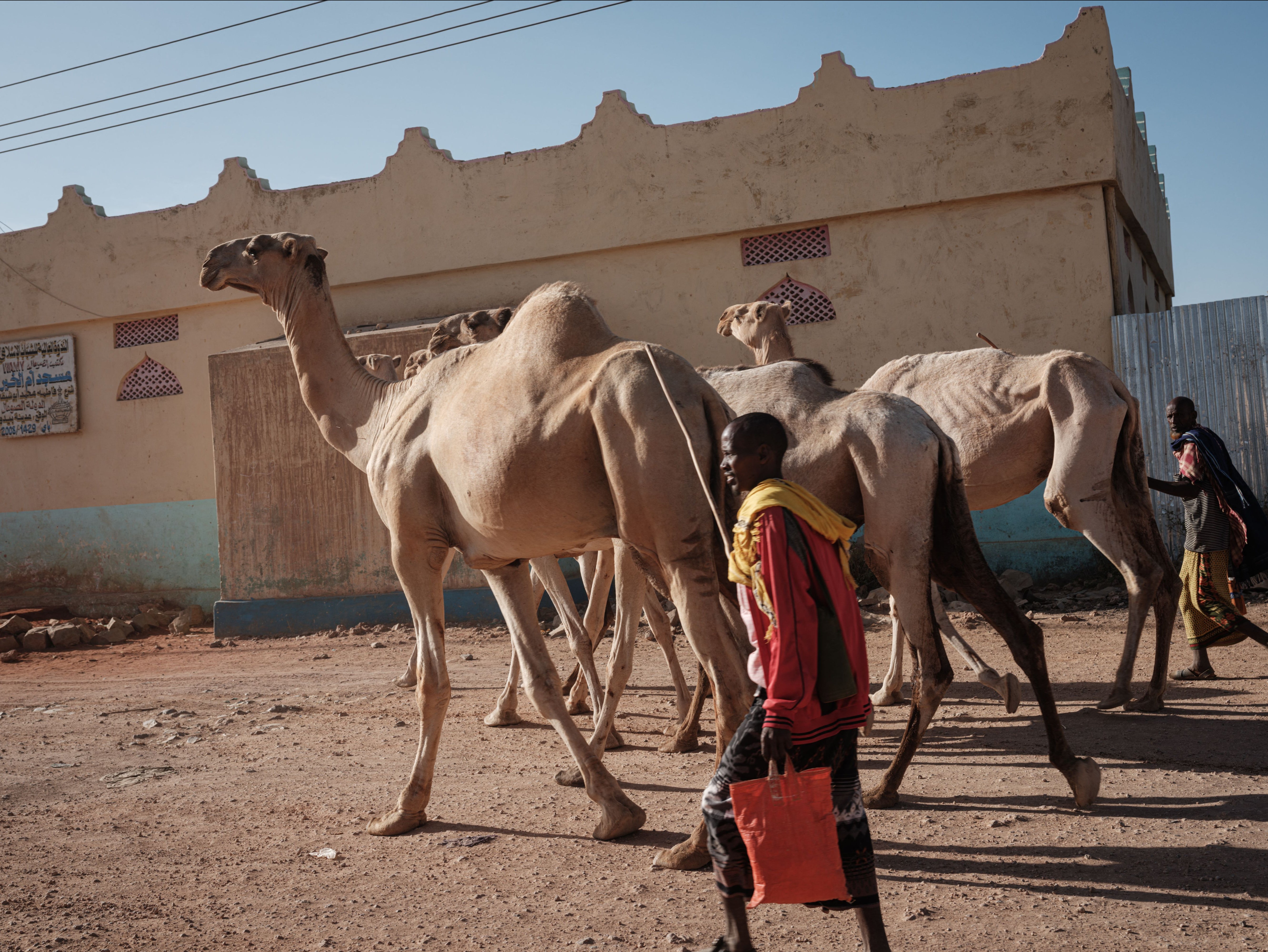 Somalia is facing its worst drought in 40 years