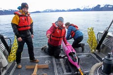 An ocean first: Underwater drone tracks CO2 in Alaska gulf