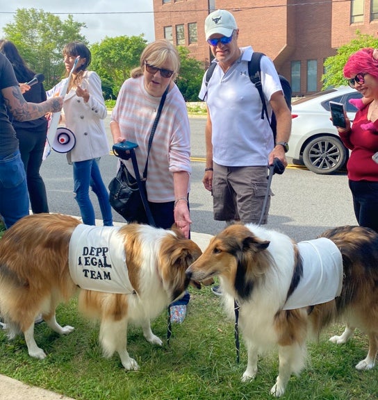 Robin and Randy Naler dressed their dogs as ‘Depp legal team’