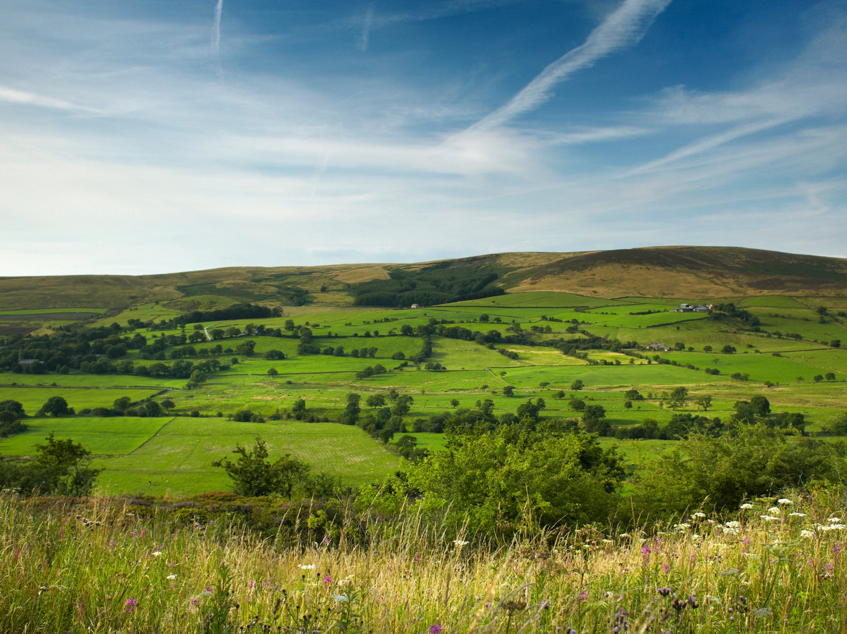 The lush Ribble Valley countryside has inspired a band of sustainability-minded chefs and creators