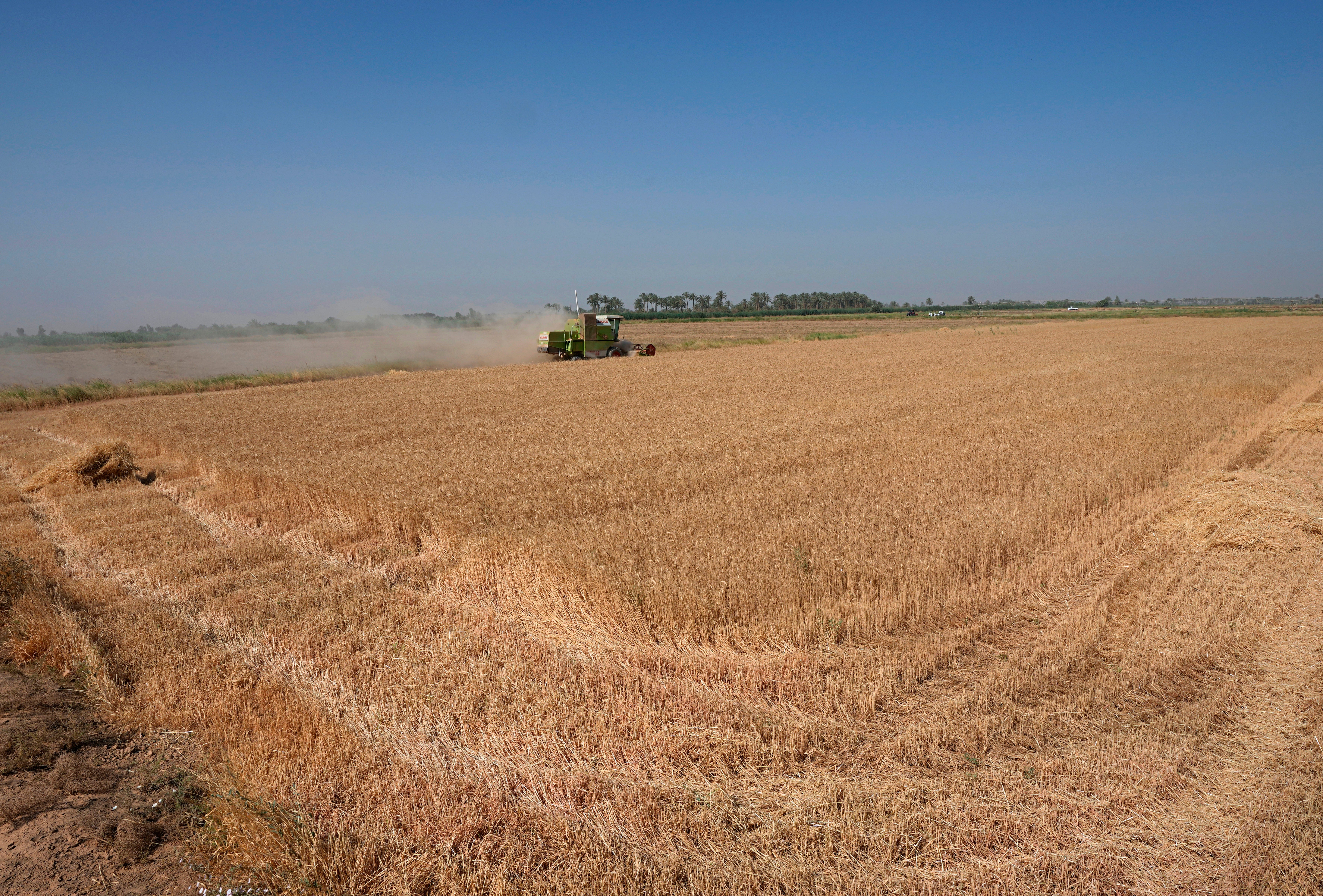 Russia and Ukraine account for nearly a third of global wheat supplies