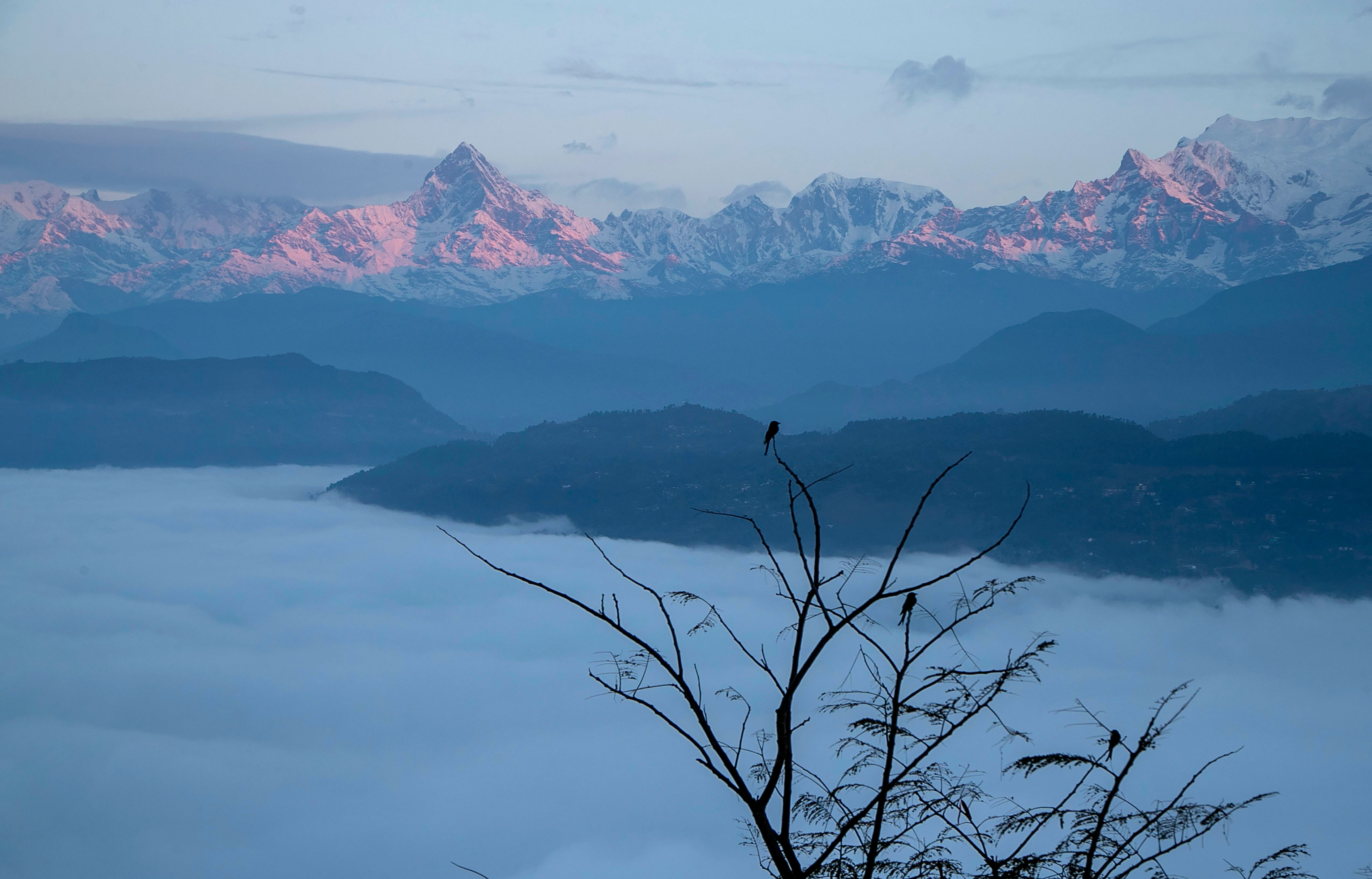 Nepal Plane Missing