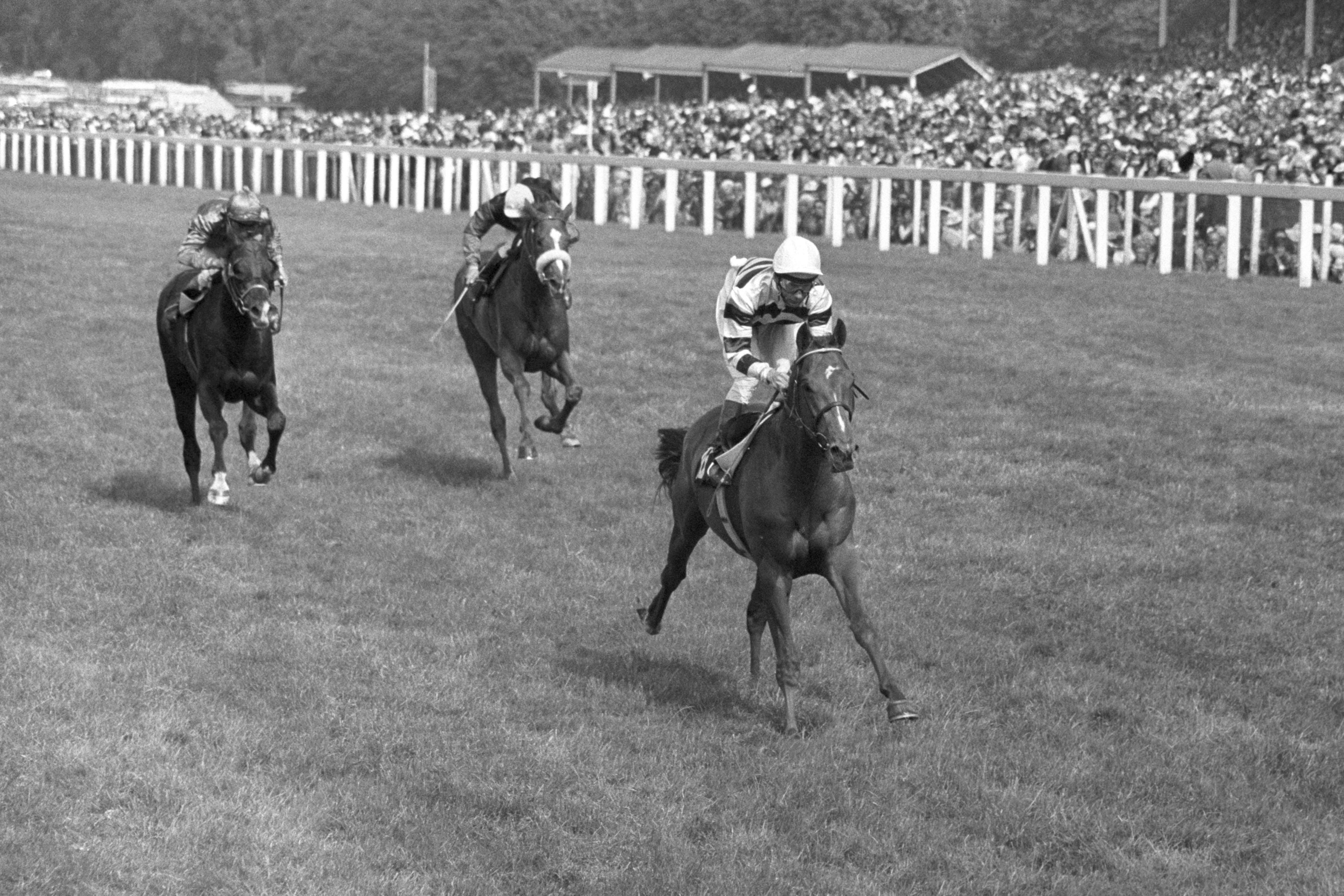 Piggott (right), here in 1975, had nine Derby victories