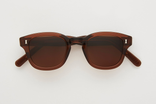 carnegie bold sunglasses