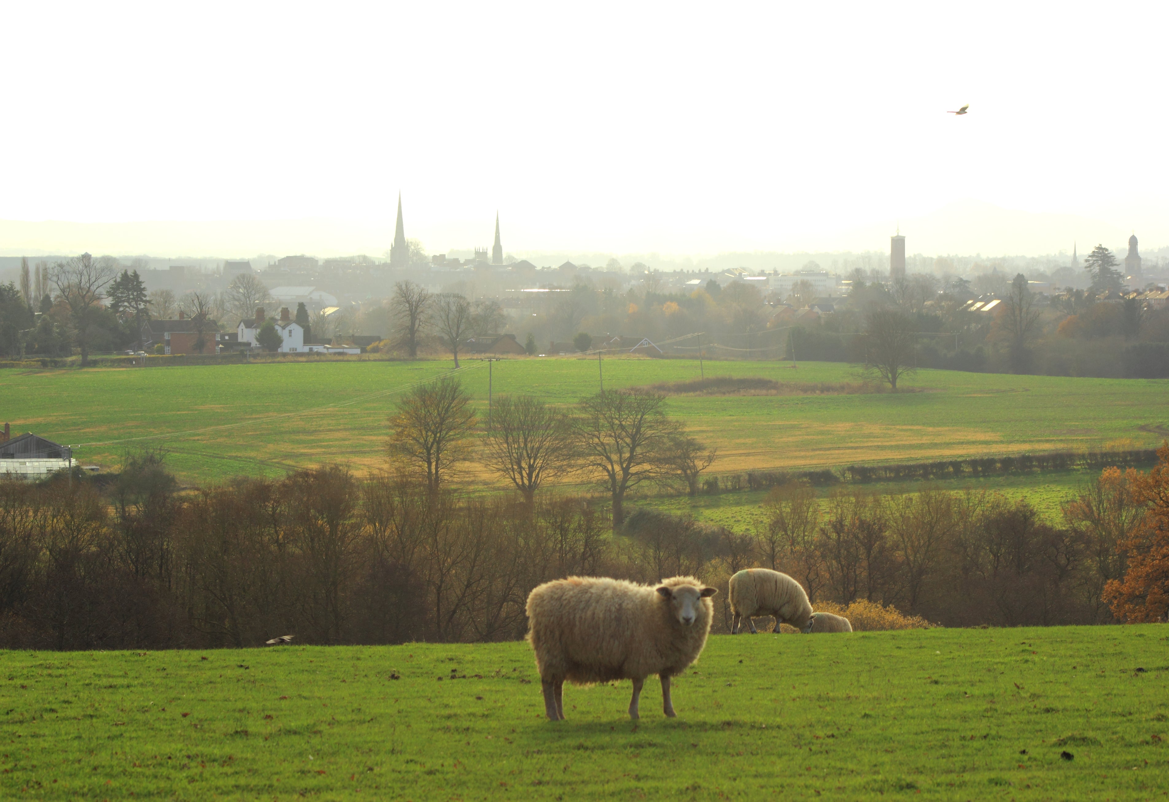 View of Shrewsbury, the county town of Shropshire – file photo