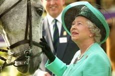 All the Queen’s horses: a royal love affair, from childhood ponies to Derby contenders
