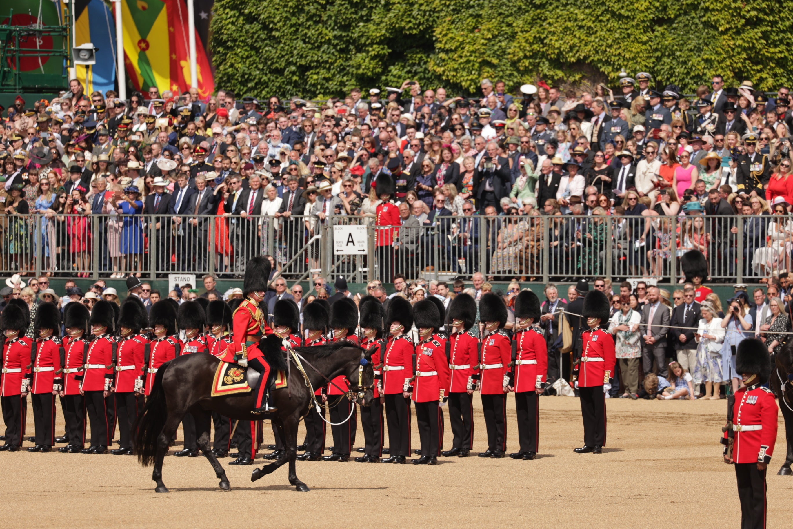 The Trooping the Colour parade saw thousands line the streets for the display