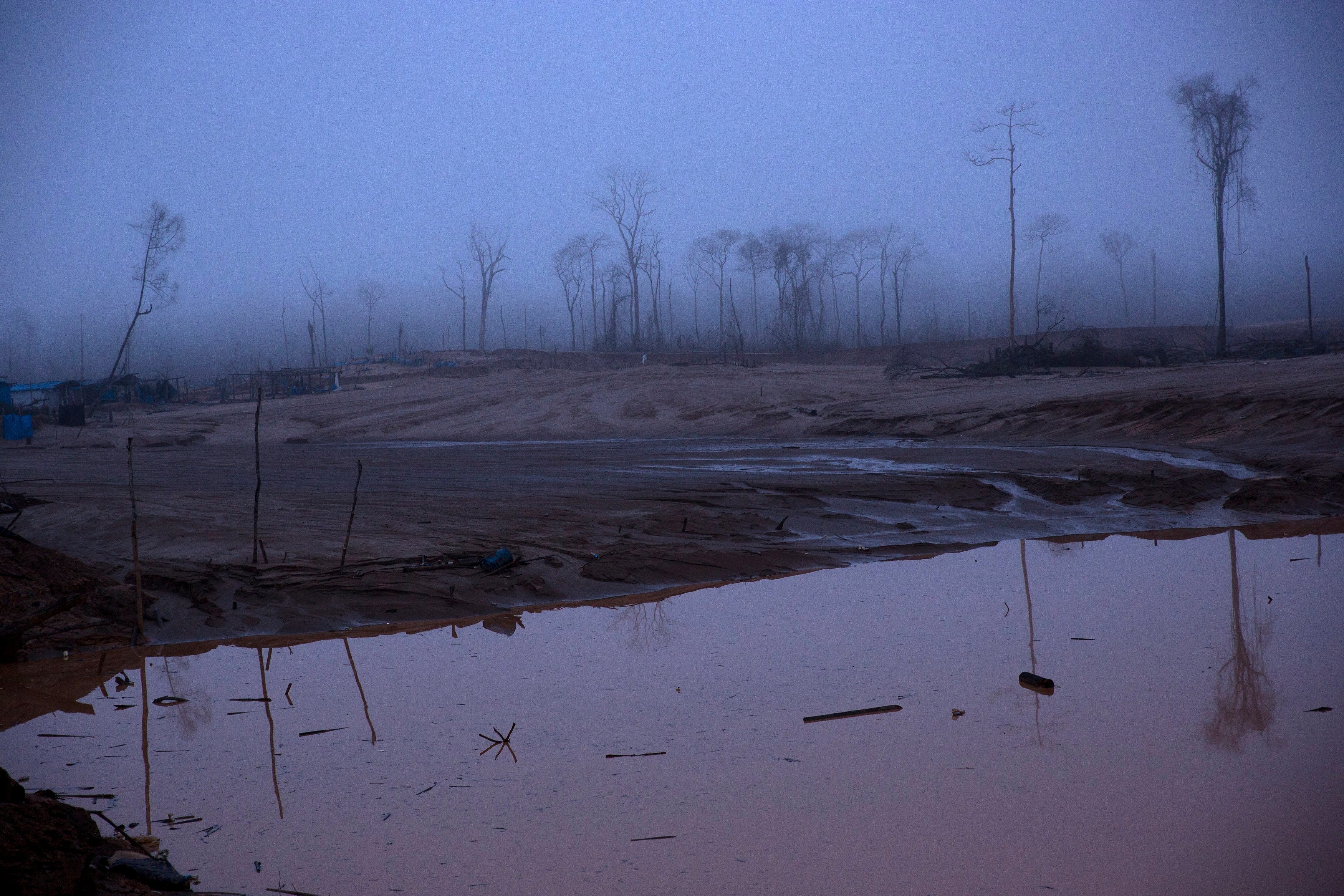 Peru Deforestation