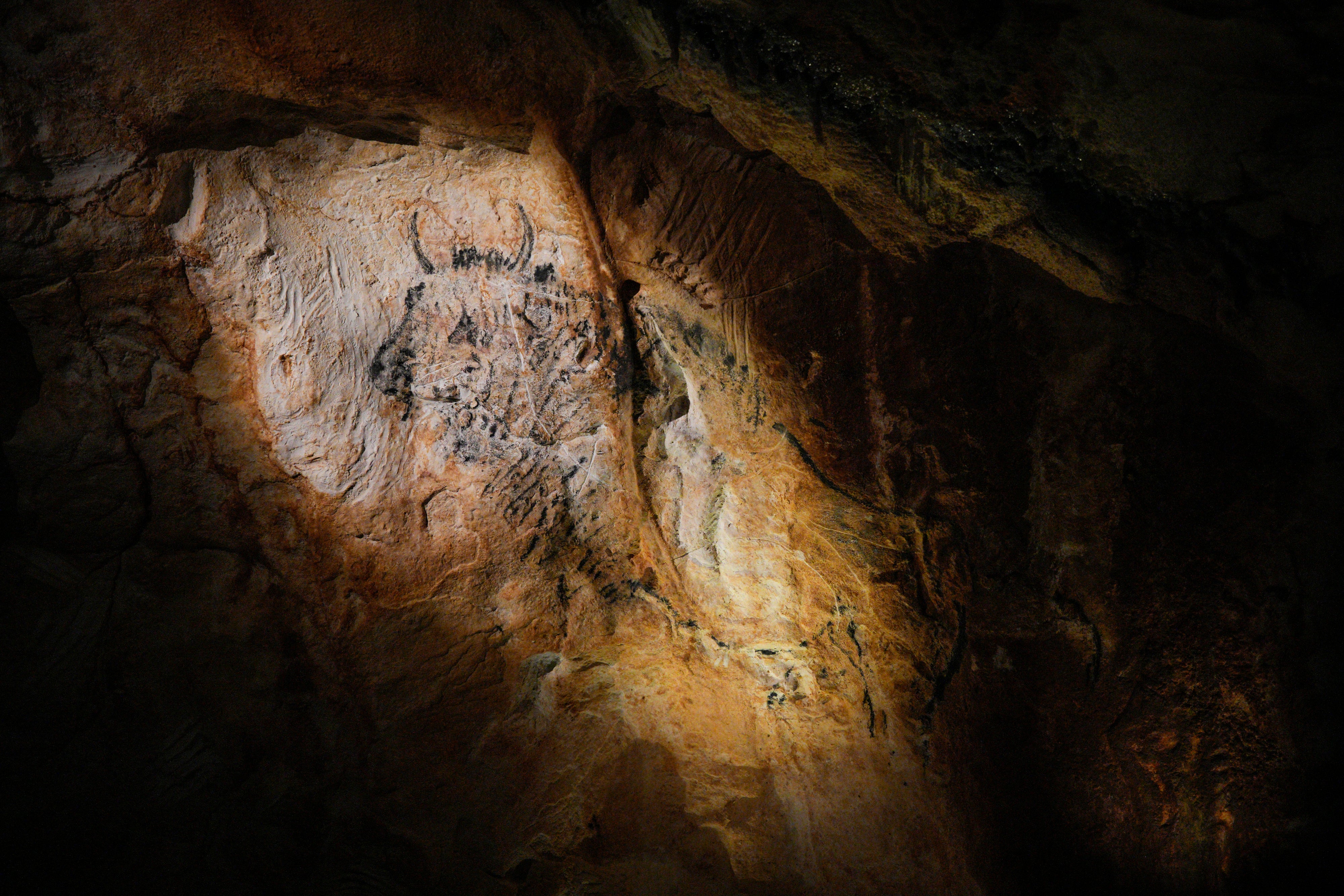 France Cosquer Exhibit