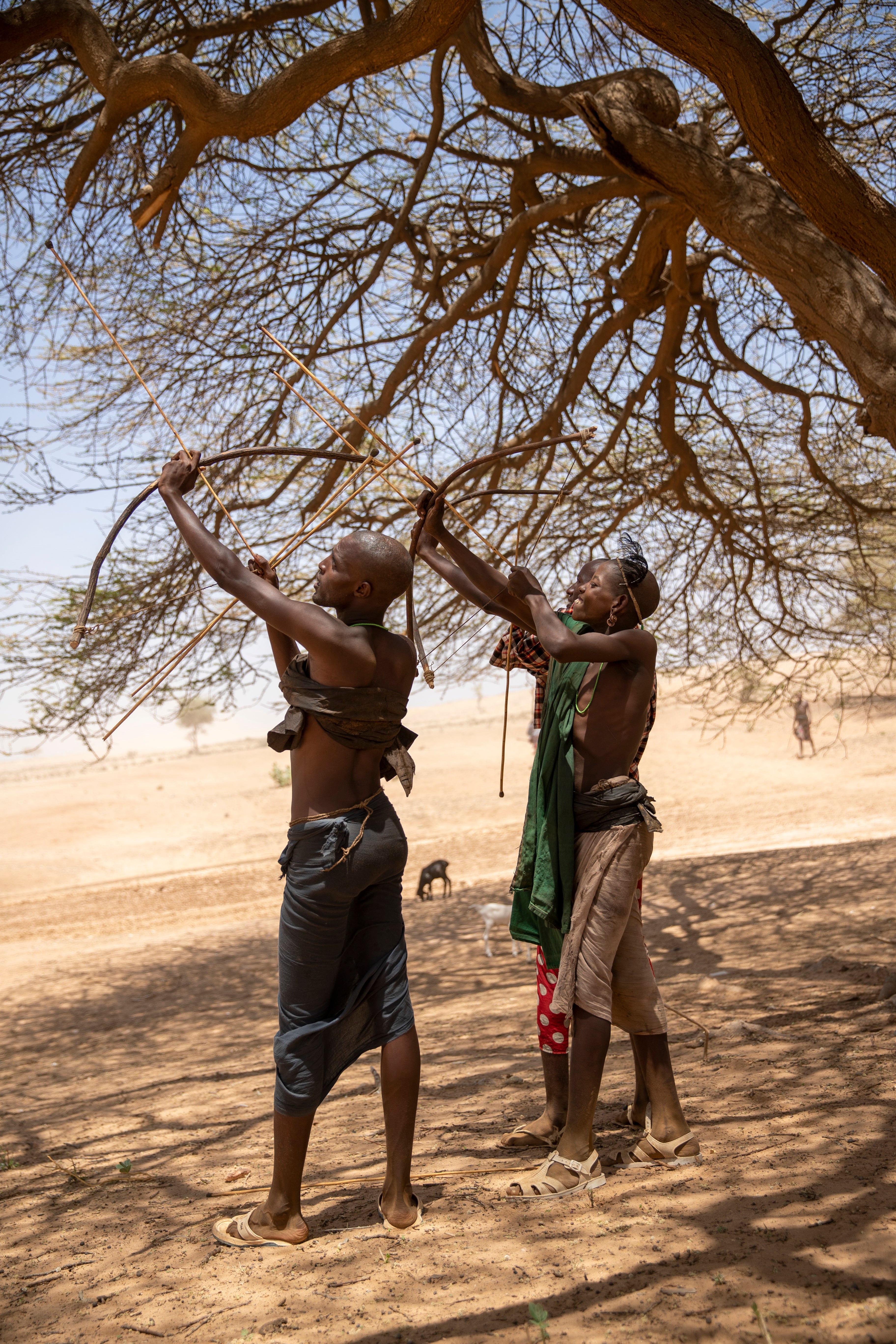 After their circumcision, the initiates spend a month recovering and hunting wild birds to make feather headdresses