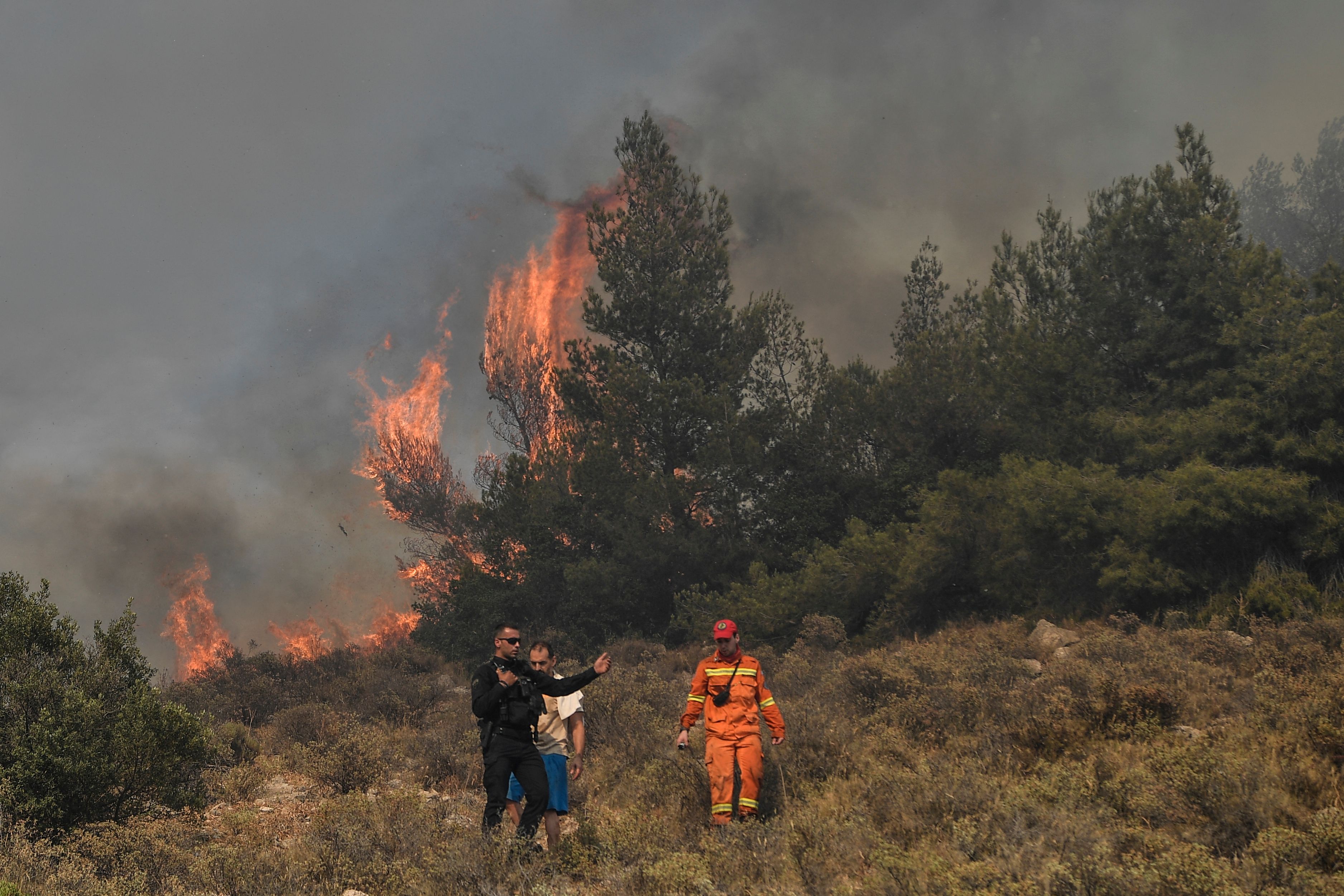 Wildfire rages near Athens, damaging homes