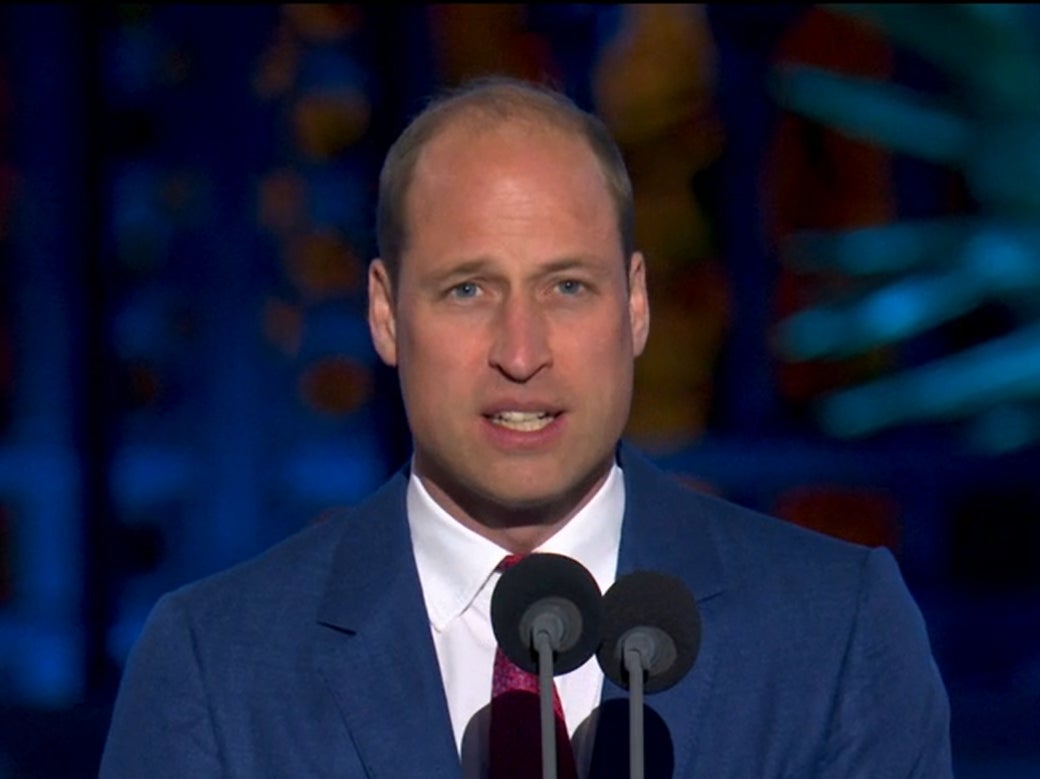 Prince William on stage at the jubilee concert