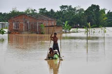 Could nature be our best protection from the climate crisis? 