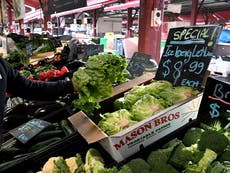 KFC forced to put cabbage in burgers as floods trigger Australian lettuce shortage