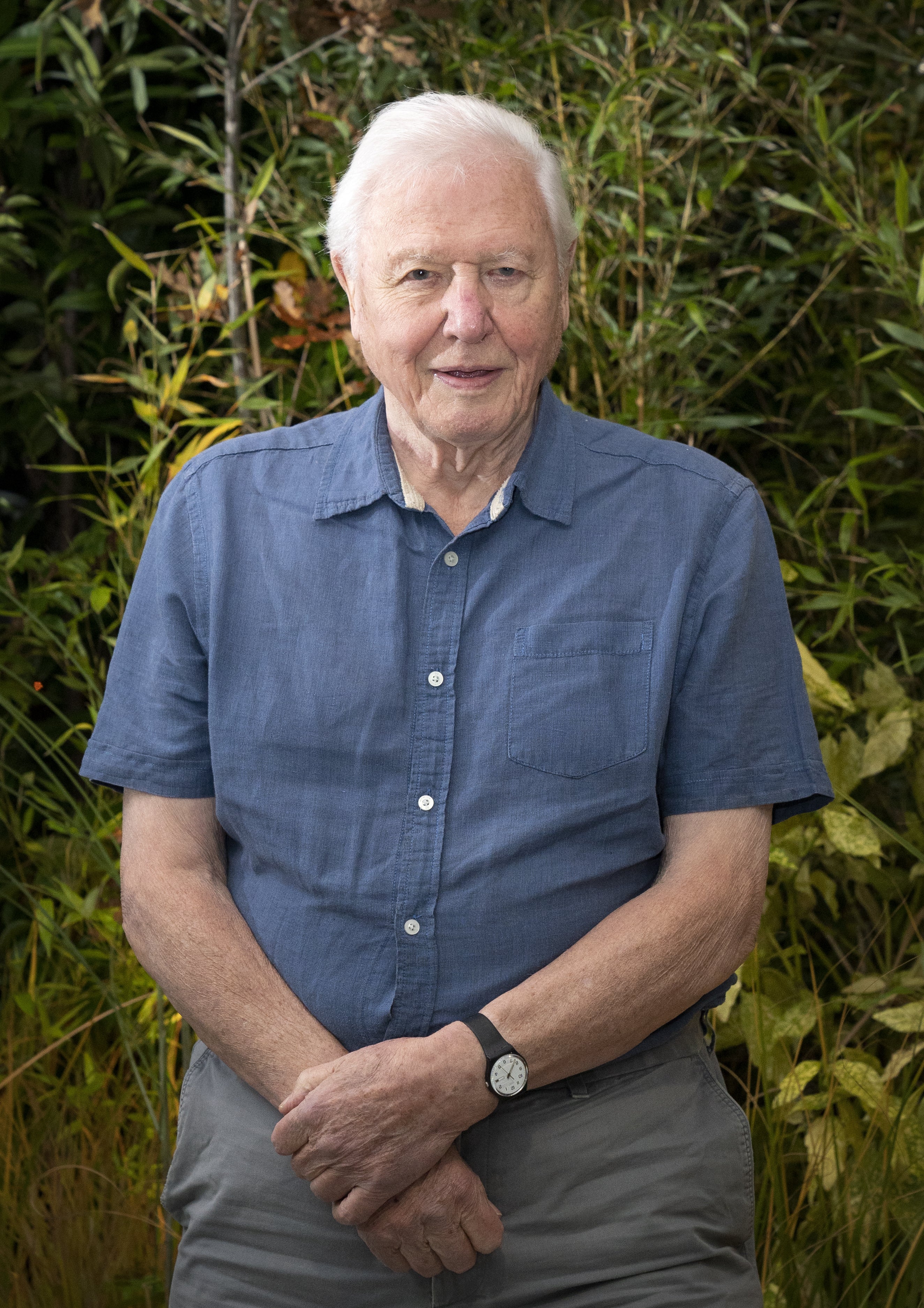 Sir David Attenborough is receiving his Knight Grand Cross honour at Windsor Castle (Jane Barlow/PA)