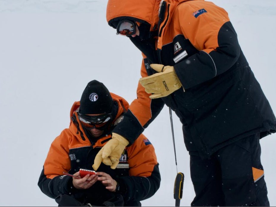 First evidence of microplastics in freshly fallen Antarctic snow