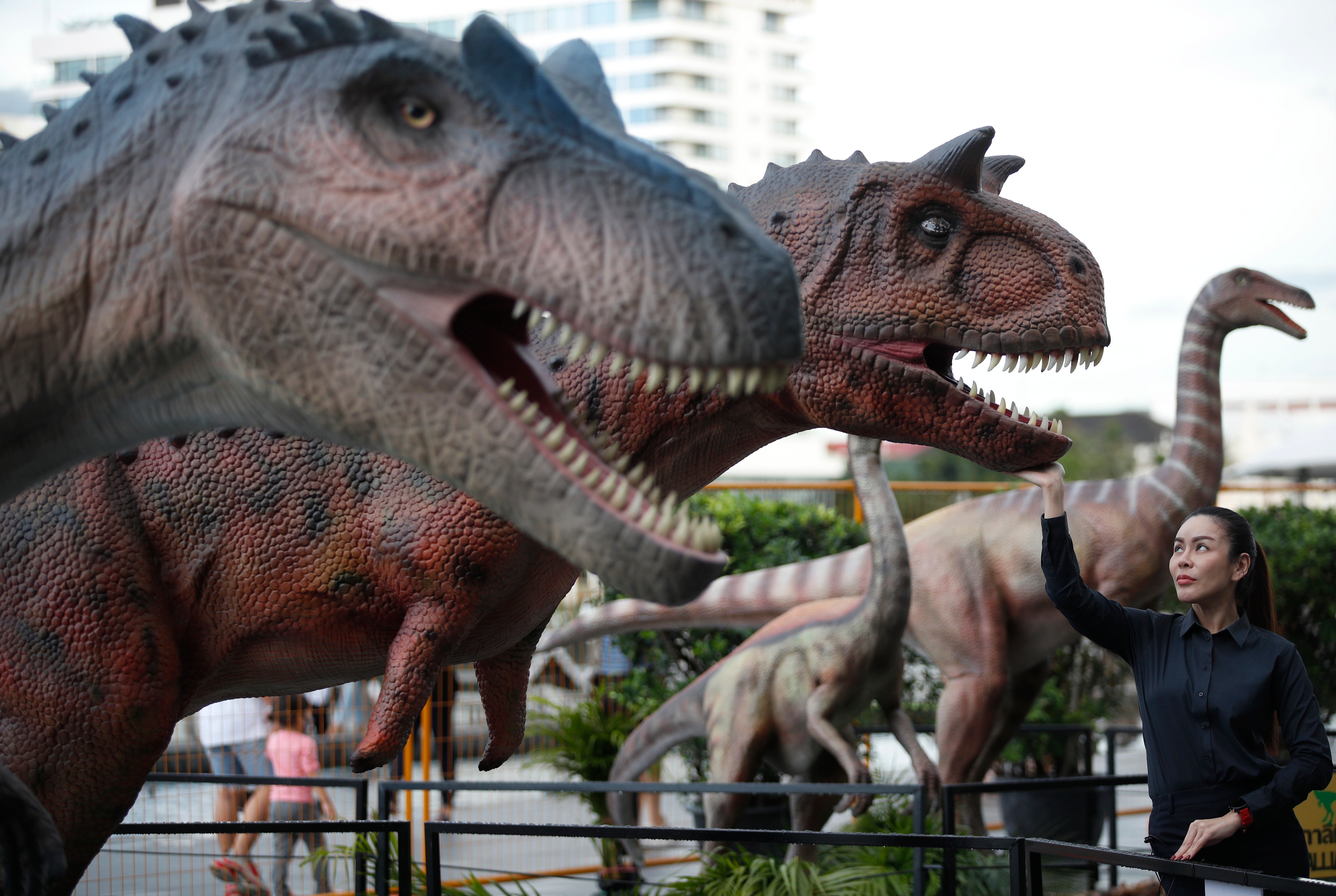 A woman touches the yaw of a life-size robotic dinosaur presented during the Iconic Jurassic Adventure dinosaurs exhibition in Bangkok, Thailand