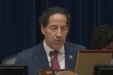 Rep Jamie Raskin compares US to ancient civilisations that ‘practiced human sacrifice’ in gun violence hearings