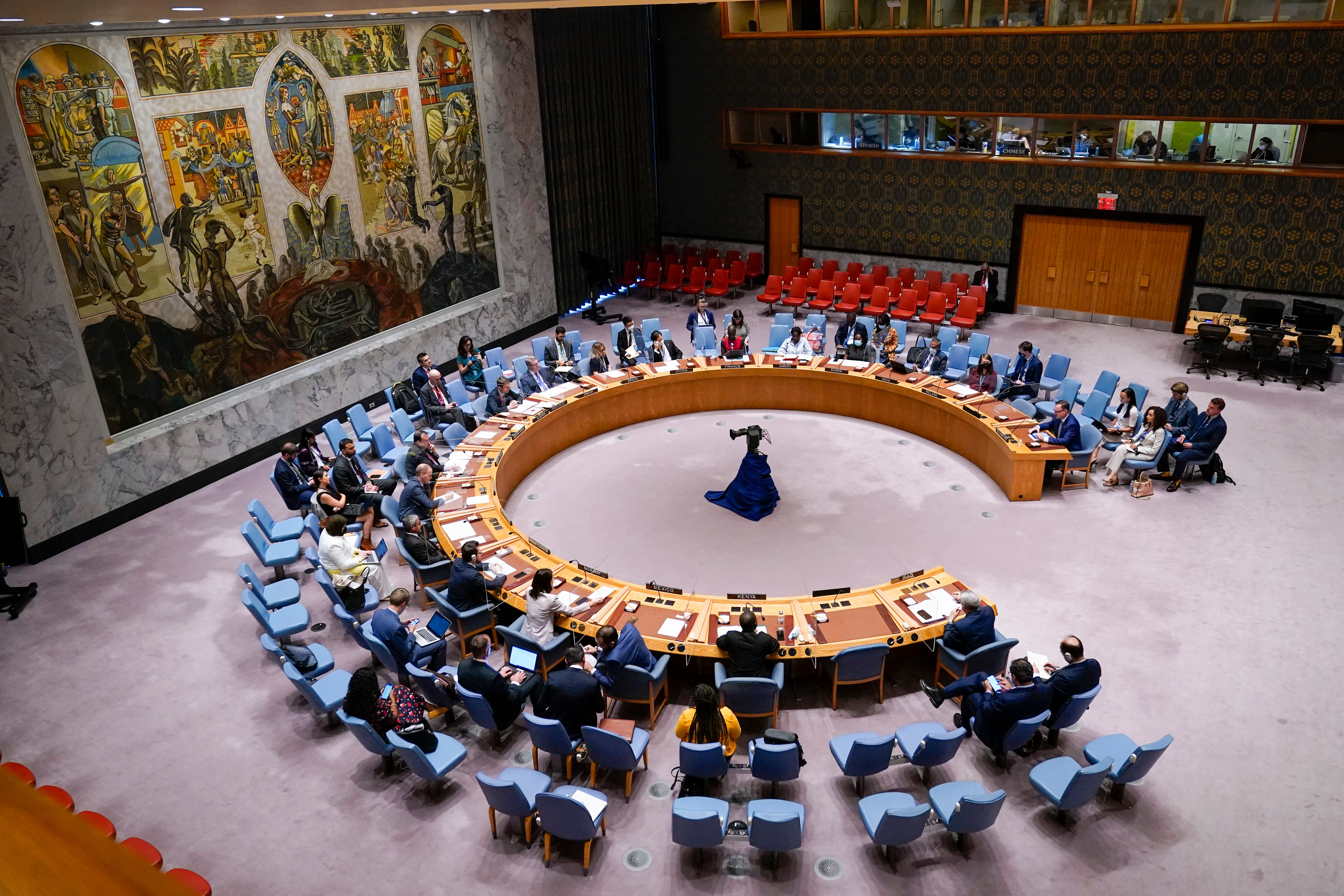 United Nations Security Council