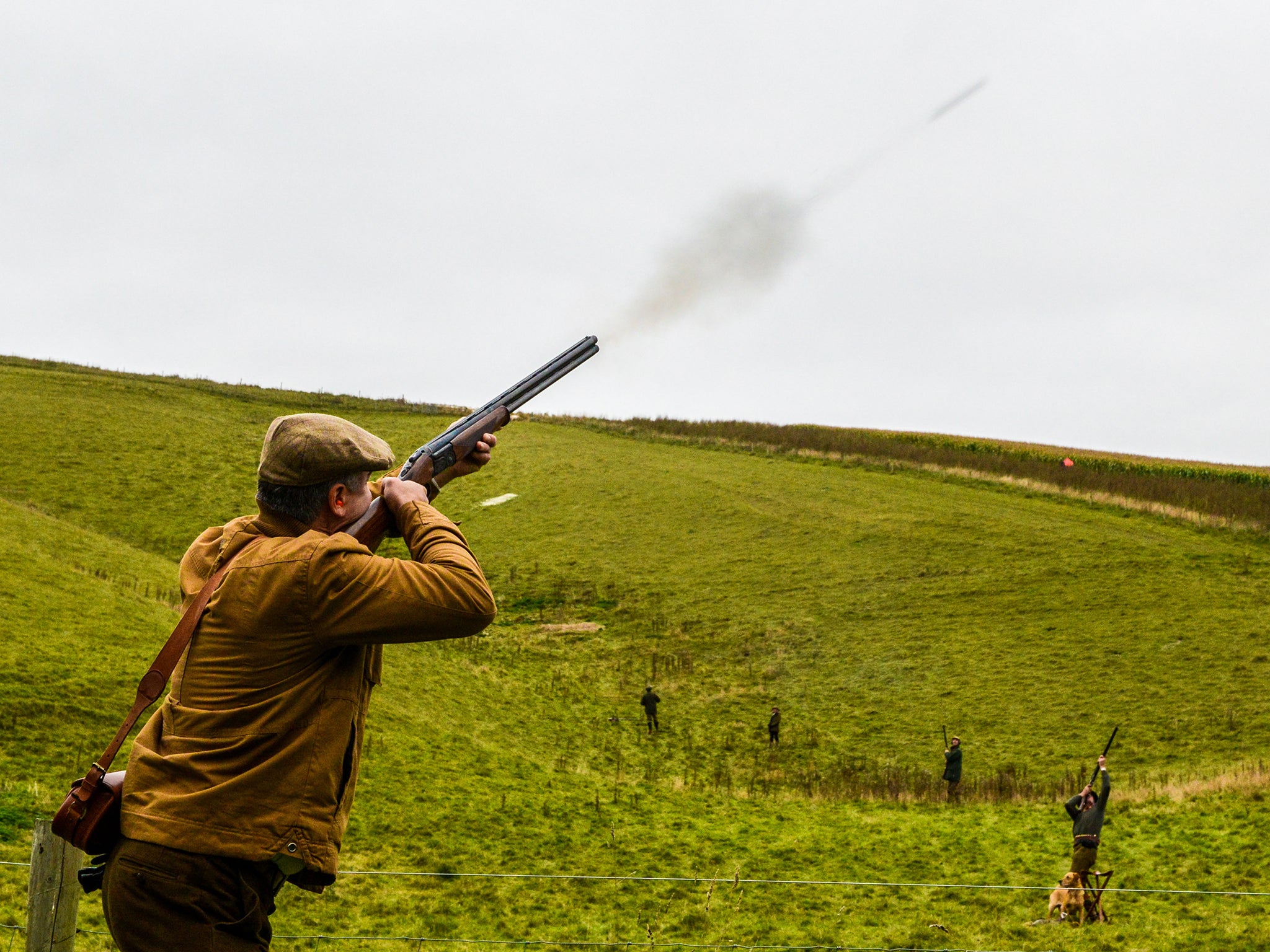 Lead fragments often form when lead shotgun pellets hit the bodies of gamebirds