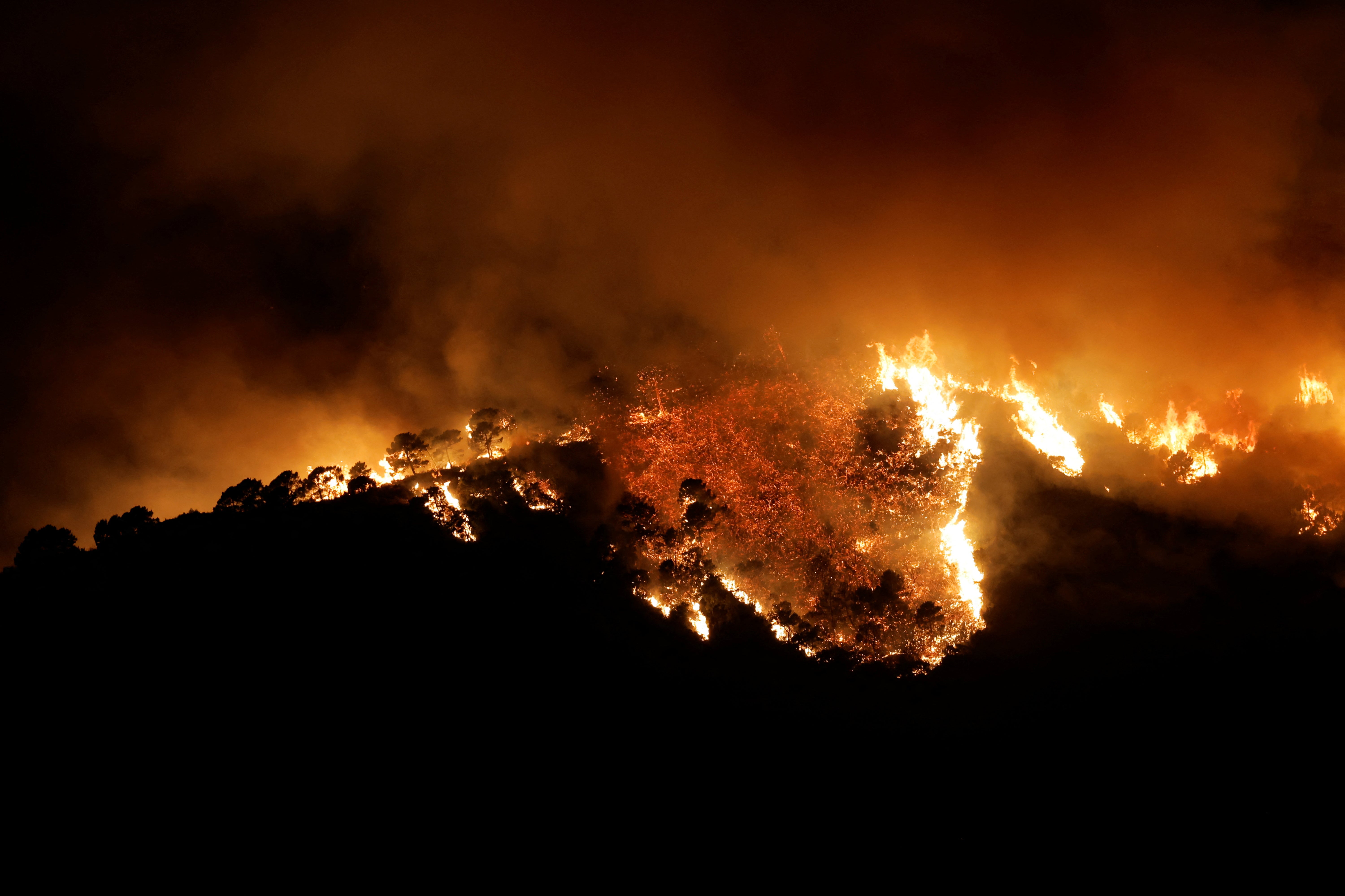 The forest fire in Benahavís