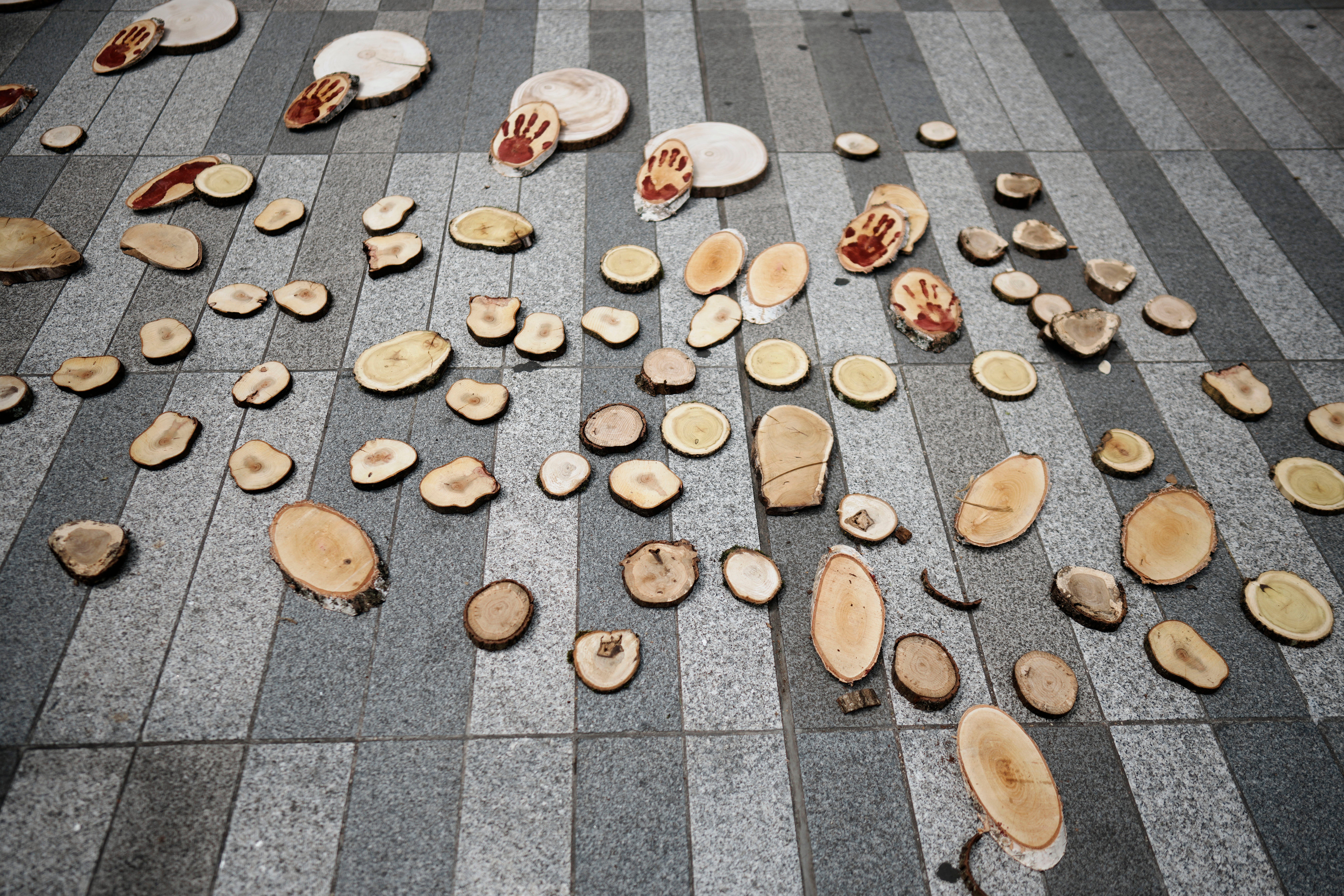 Climate France Amazon Deforestation