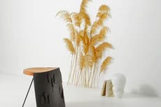 Peta announces the 2022 Vegan Homeware Awards winners