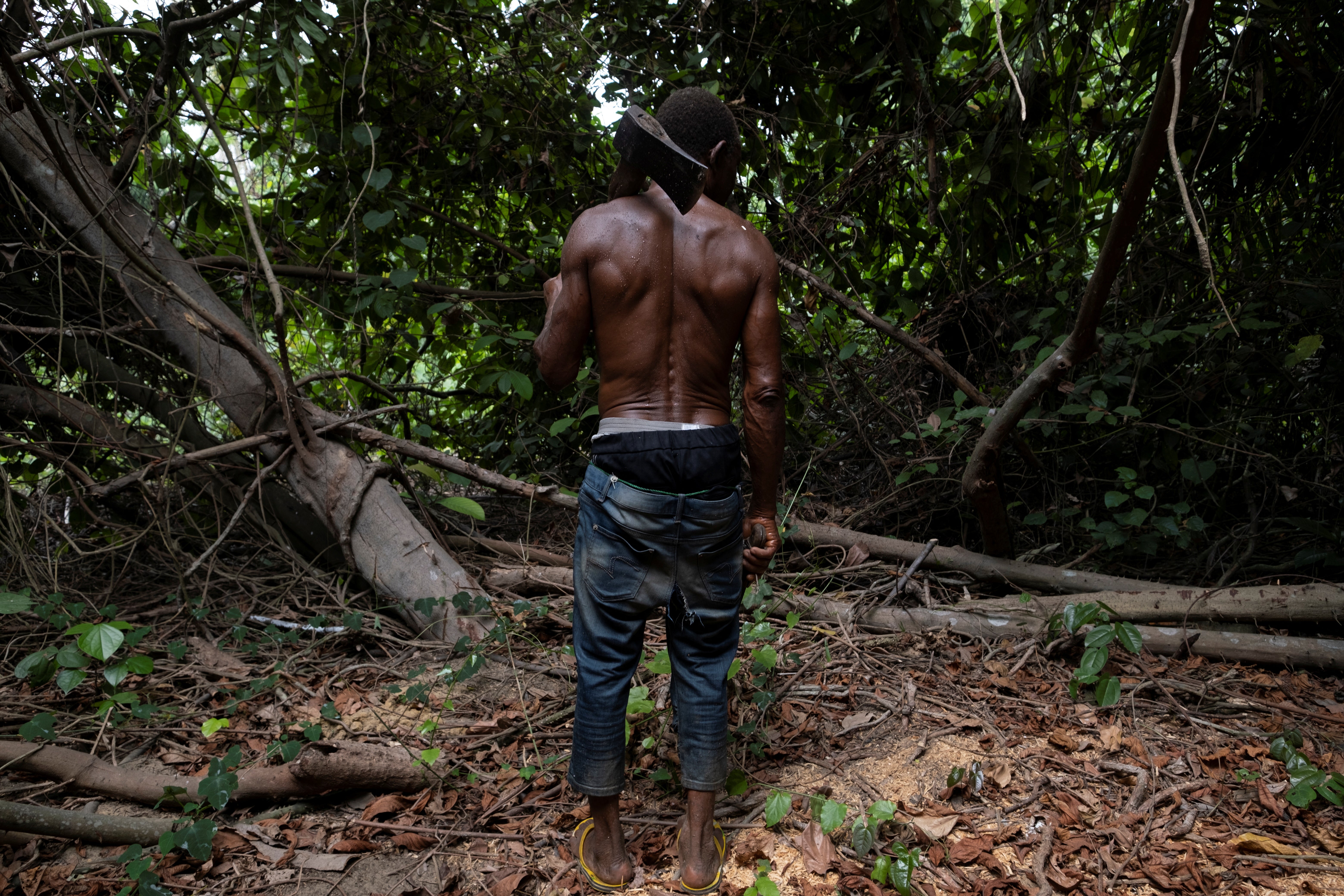 Egbontoluwa Marigi, holding his axe, surveys the forest