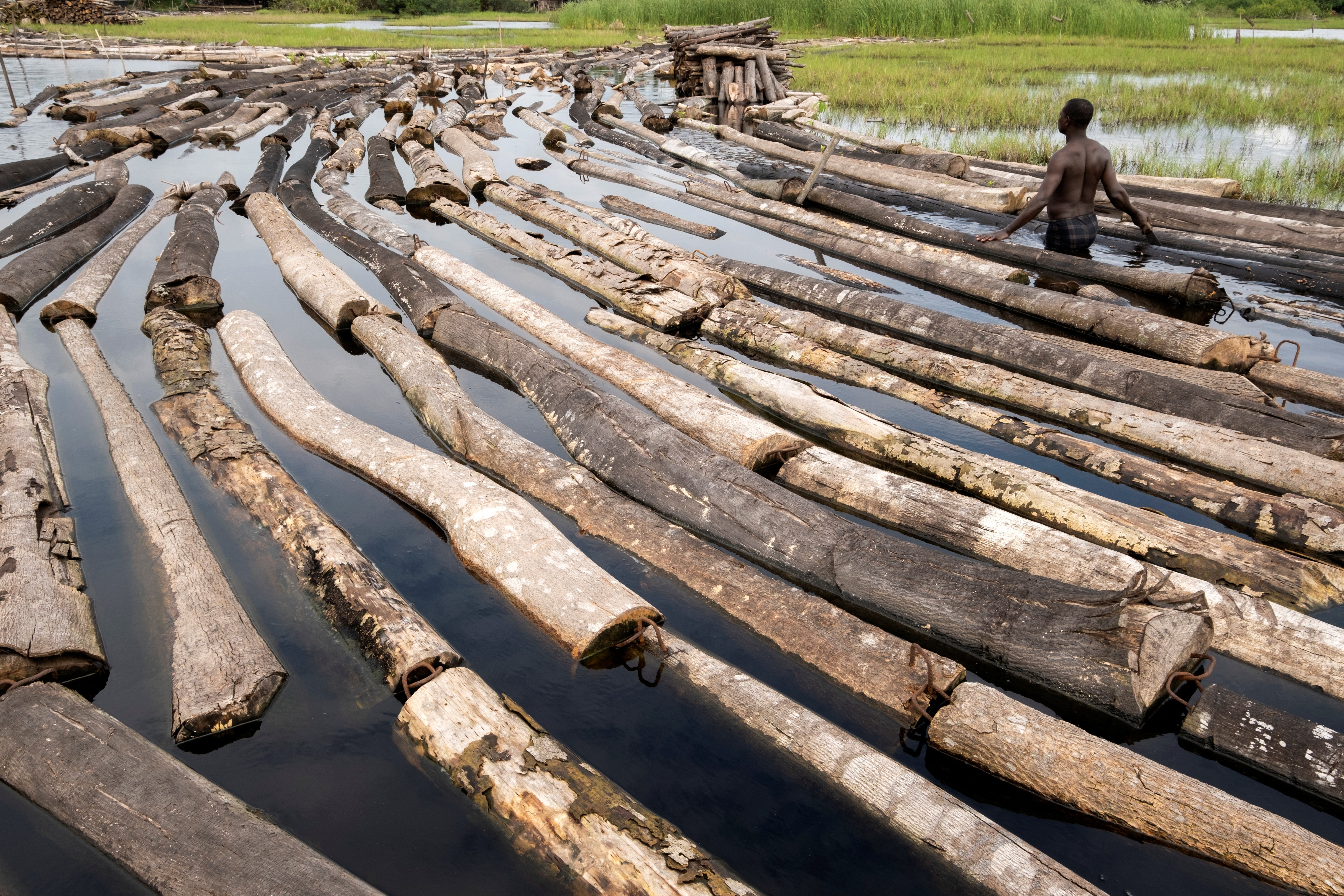 Ikuejamoye arranges logs on the river in Ipare