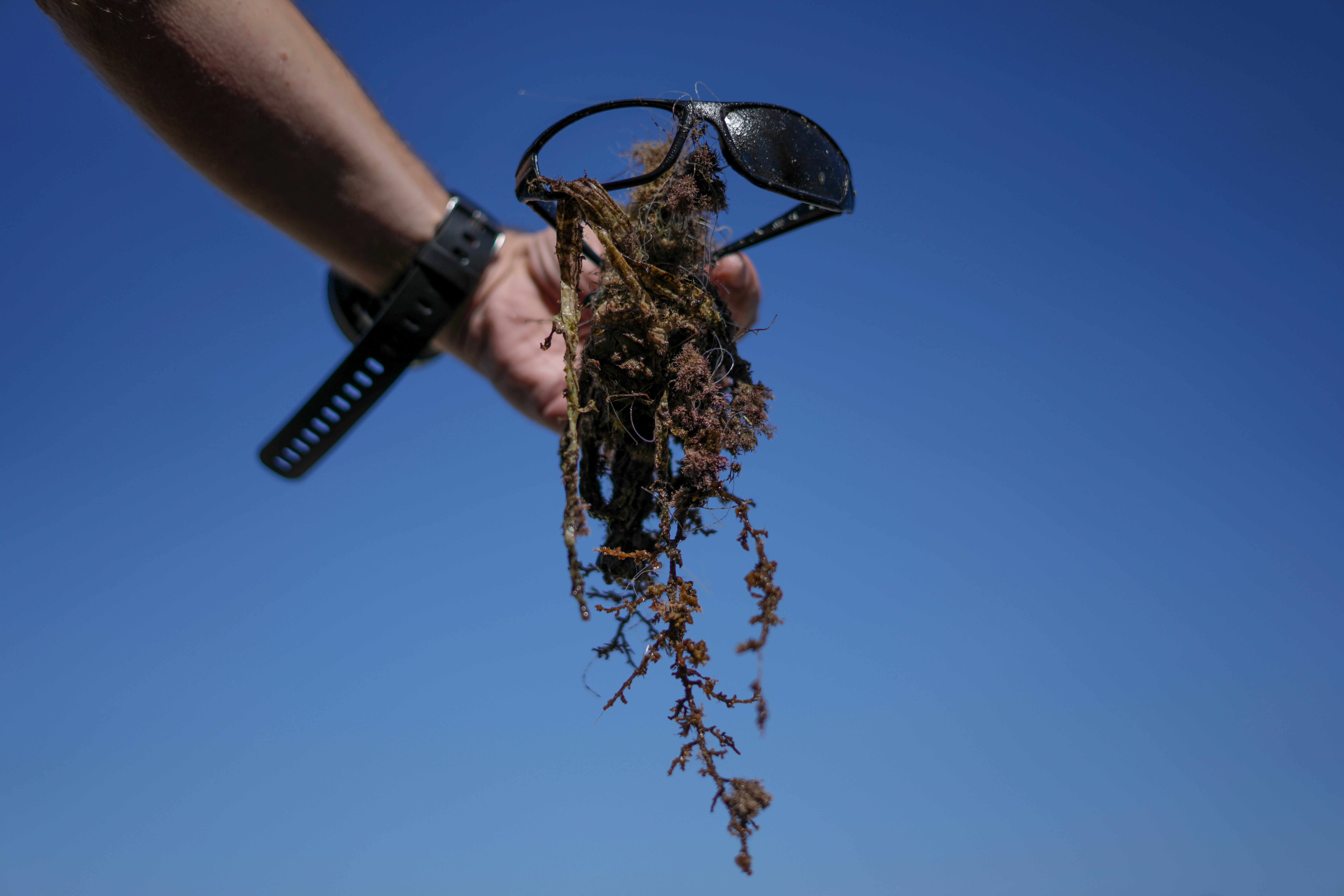 Israel World Oceans Day