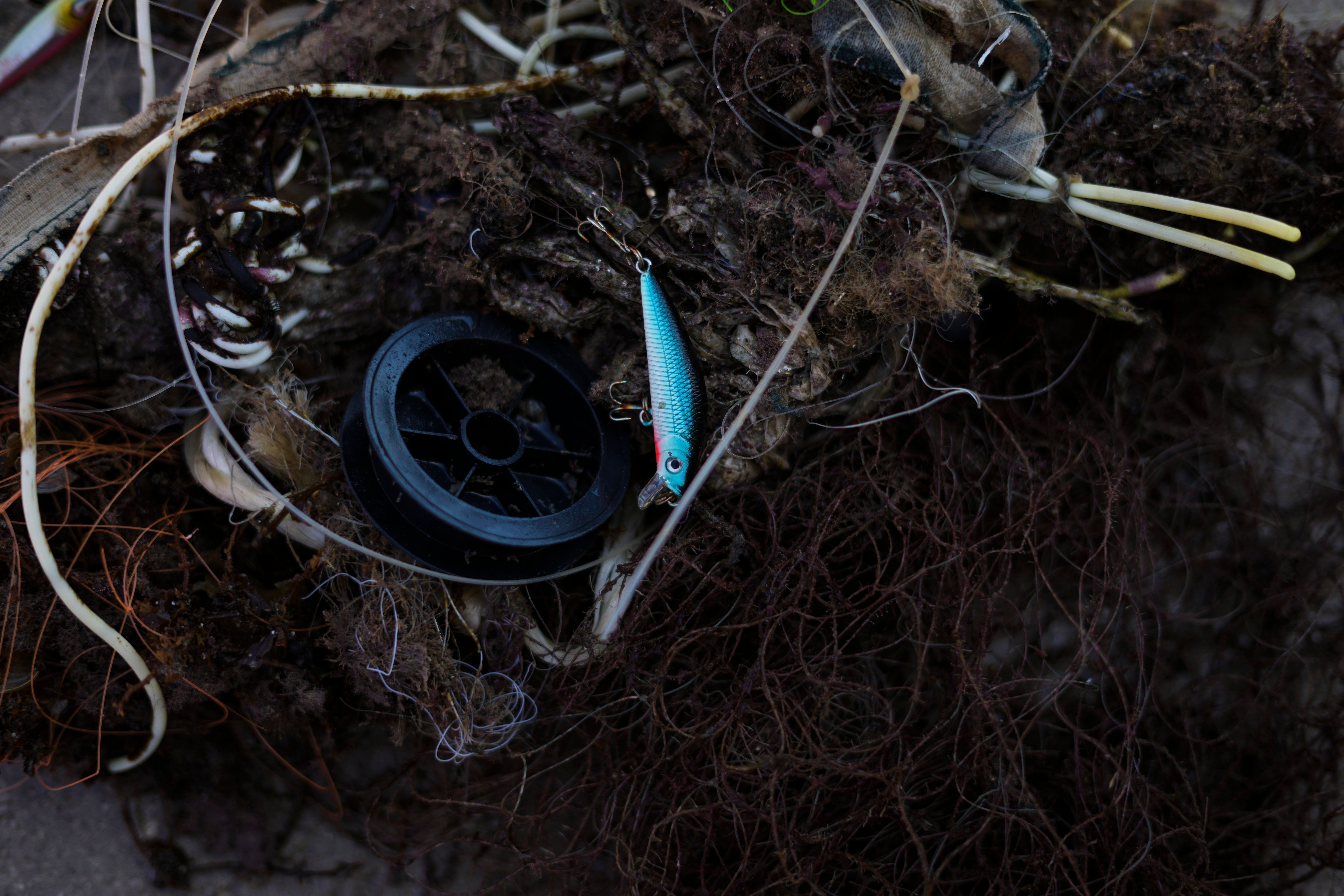 Israel World Oceans Day