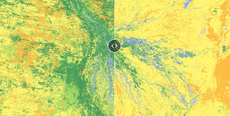 Google’s ‘dynamic world’ map tracks humanity’s destruction of nature in real-time