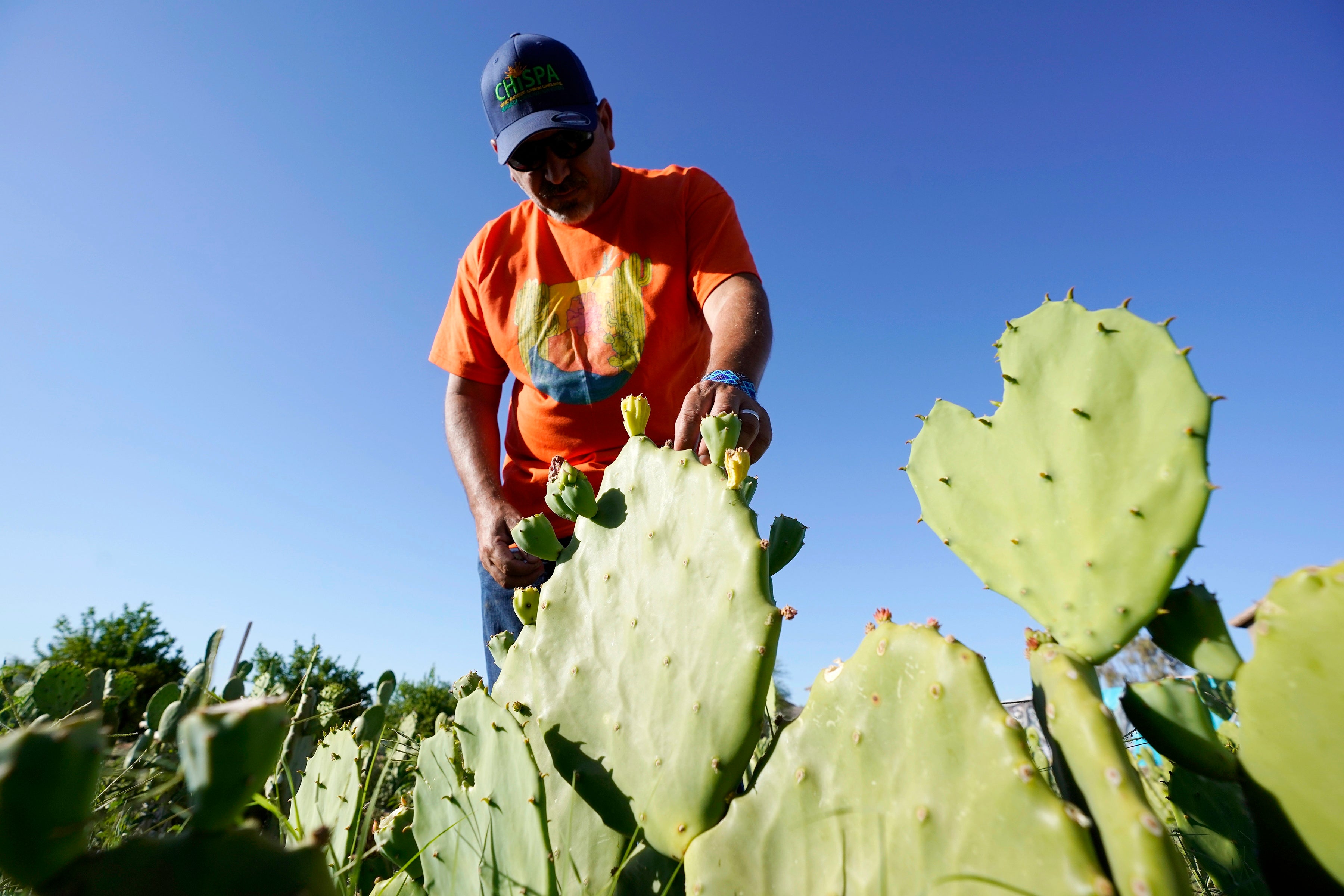 Climate Latino Activism