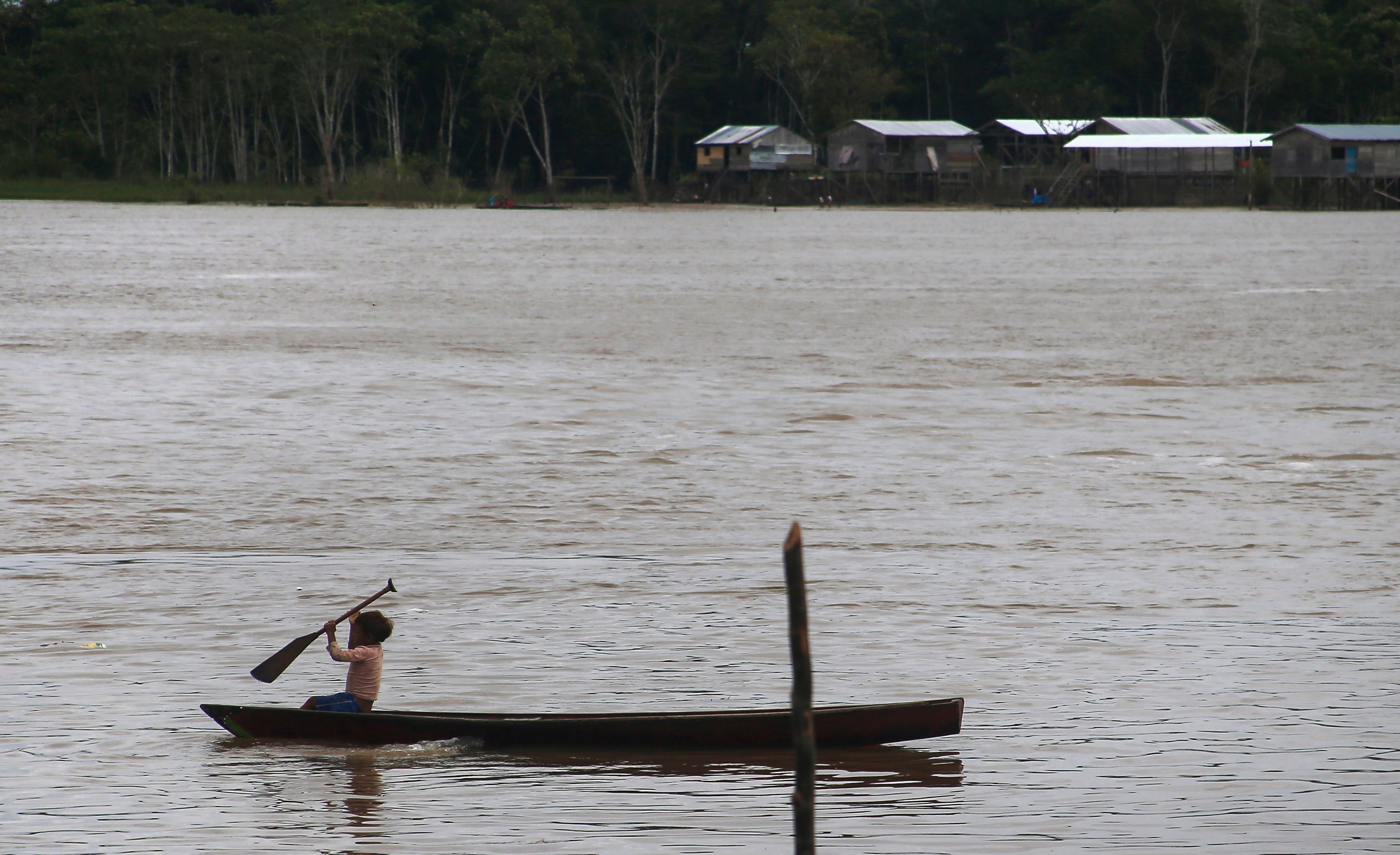 Brazil Amazon