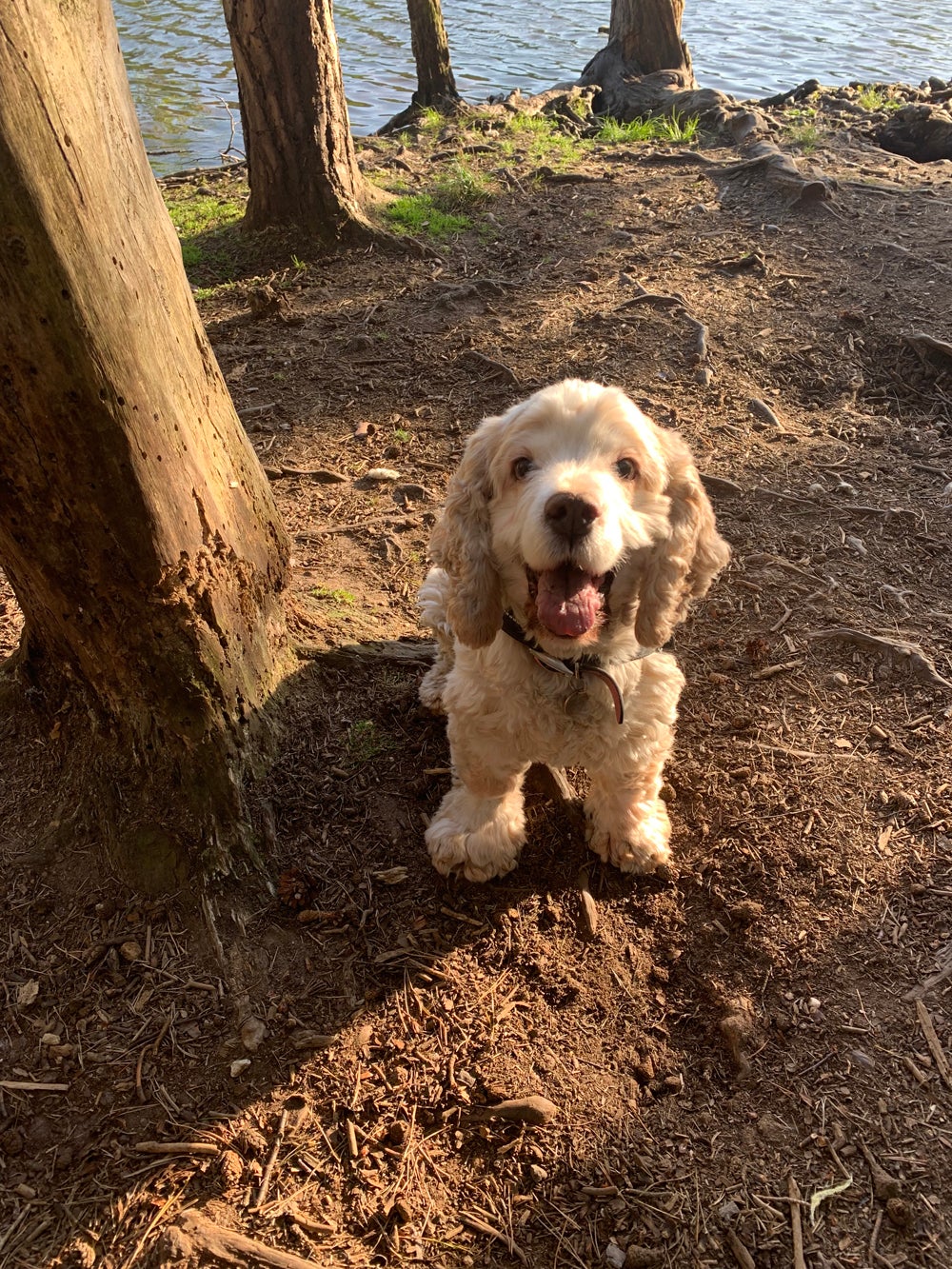 Mollie enjoying the nature reserve again (PA Real life/Collect)