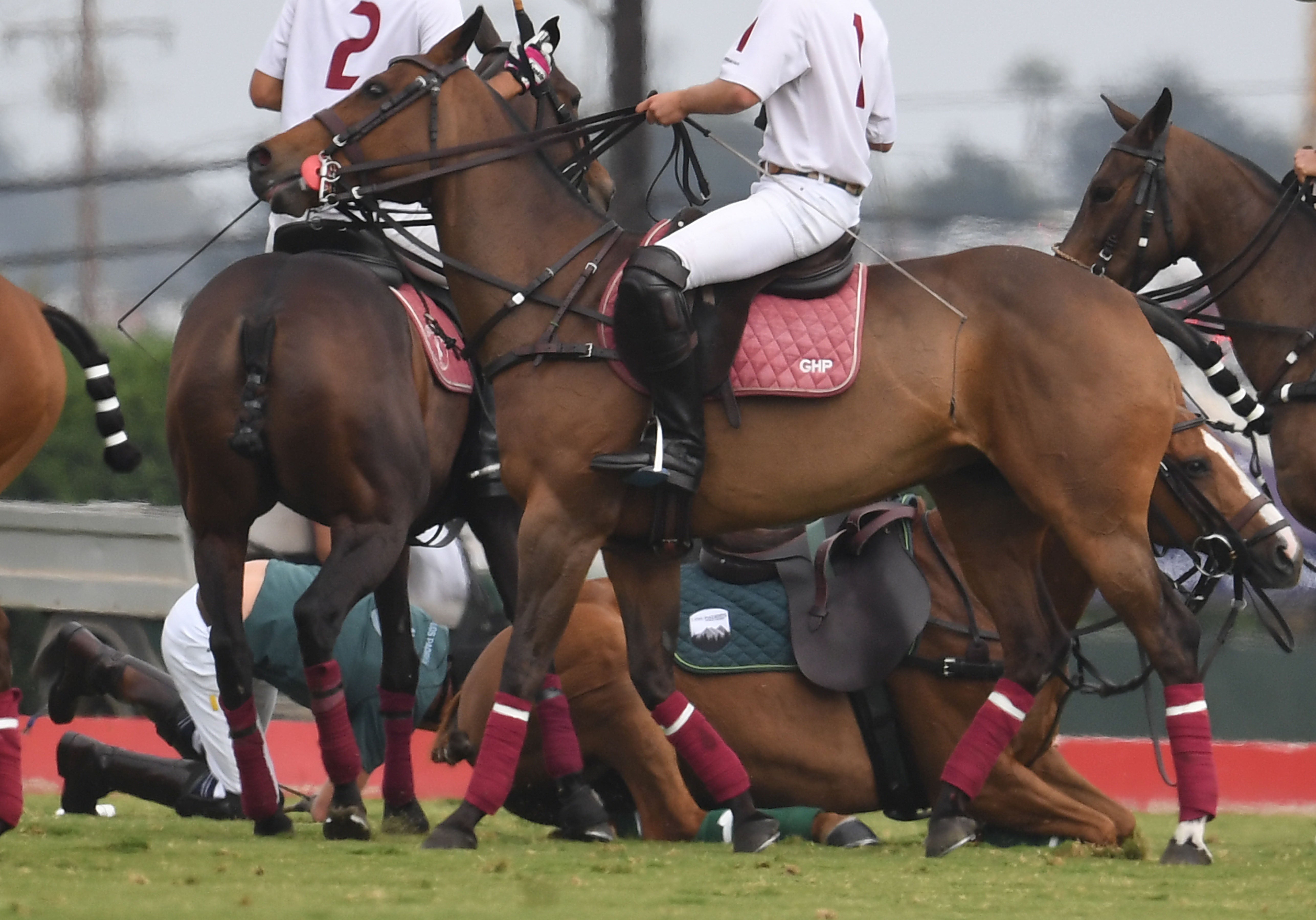 Prince Harry is pictured on the ground after falling off his horse