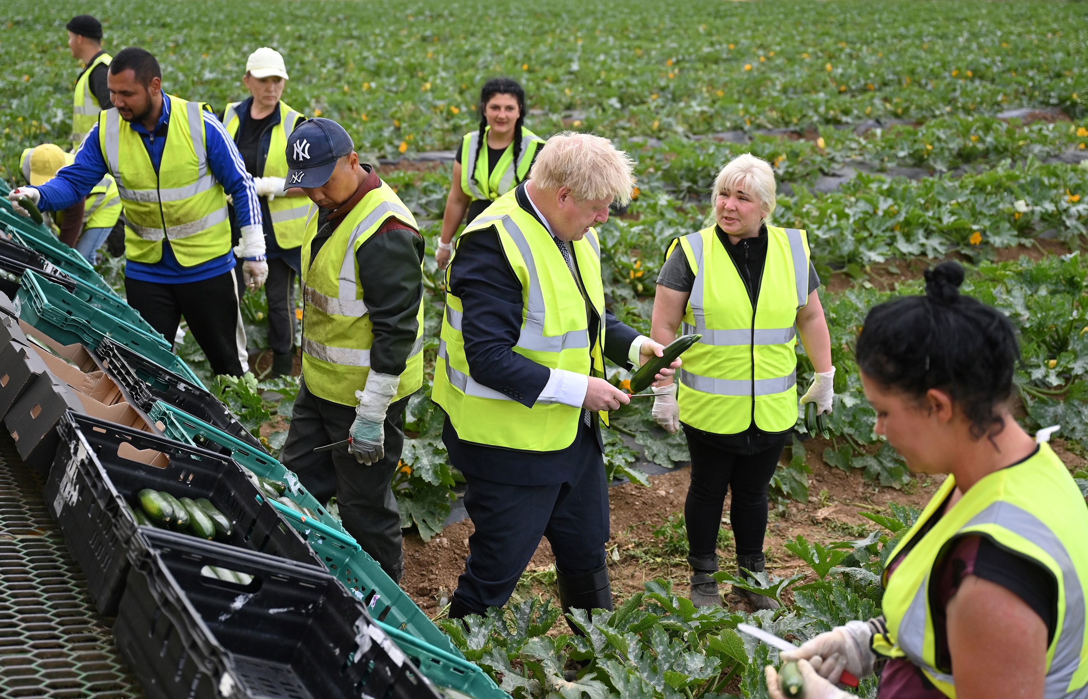 Boris Johnson pledged the blueprint, being launched in a white paper on Monday, will “back” British farmers