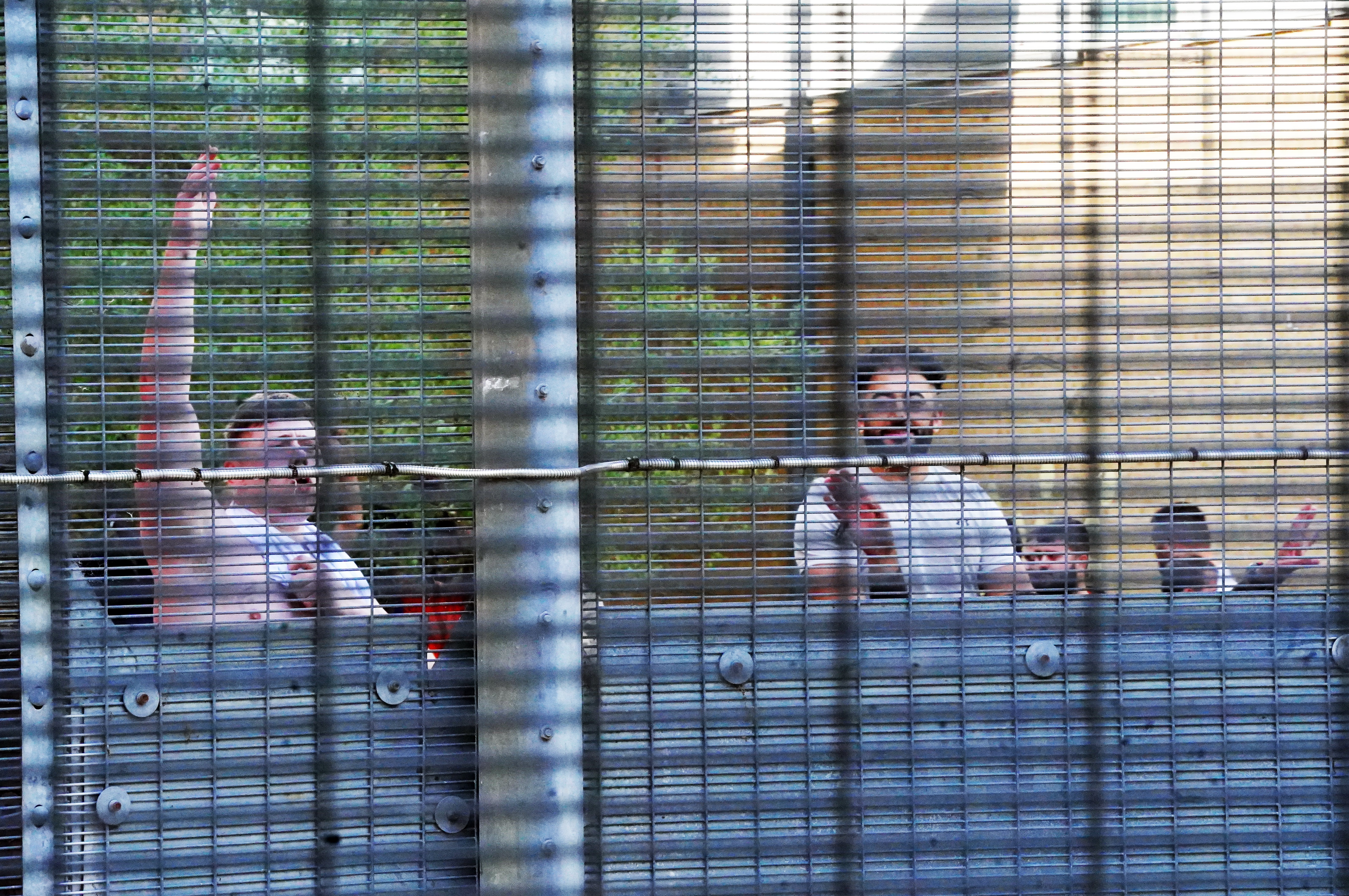 People held at Brook House Immigration Removal Centre at Gatwick respond to demonstrators from migrants rights groups protesting against plans to send migrants to Rwanda. Picture date: Sunday June 12, 2022.