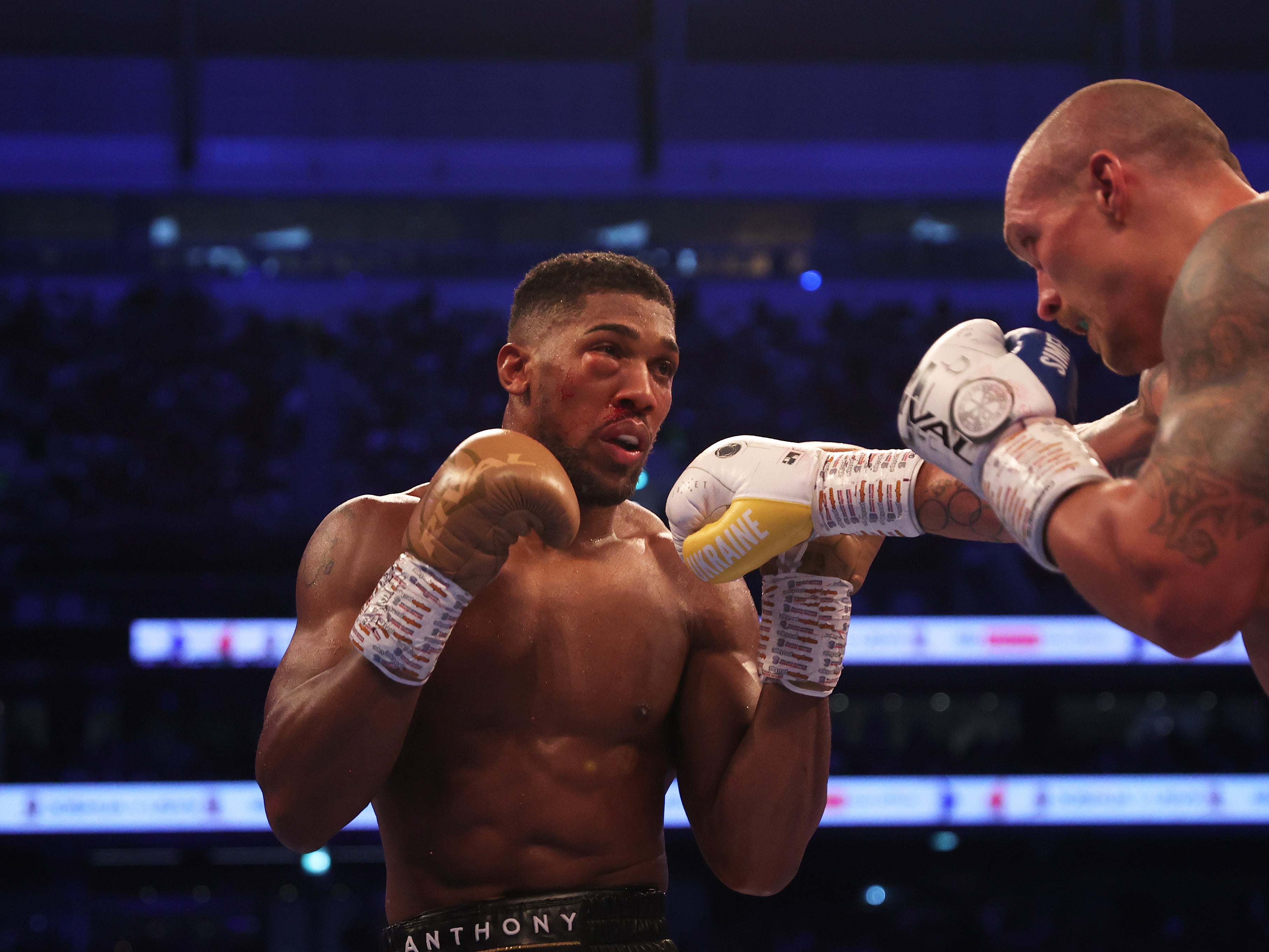 Anthony Joshua was comprehensively outpointed by Oleksandr Usyk in September