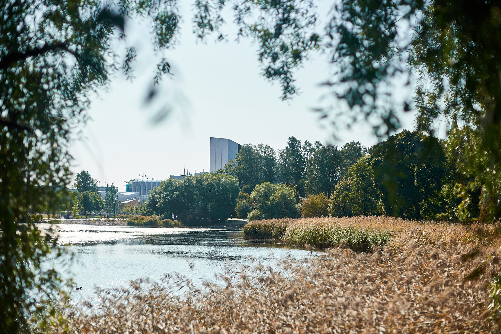 Get exploring in Helsinki