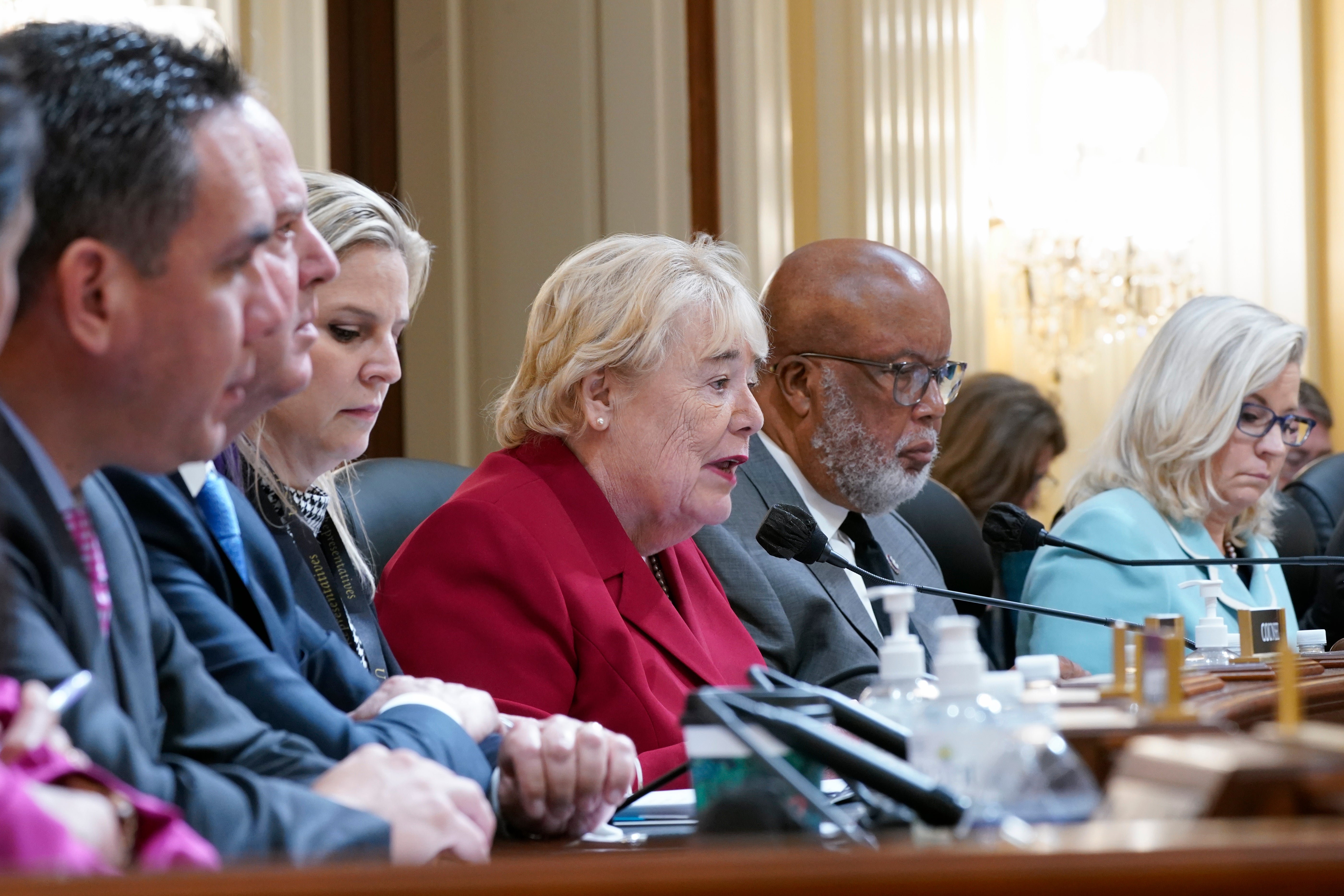 Capitol Riot Investigation