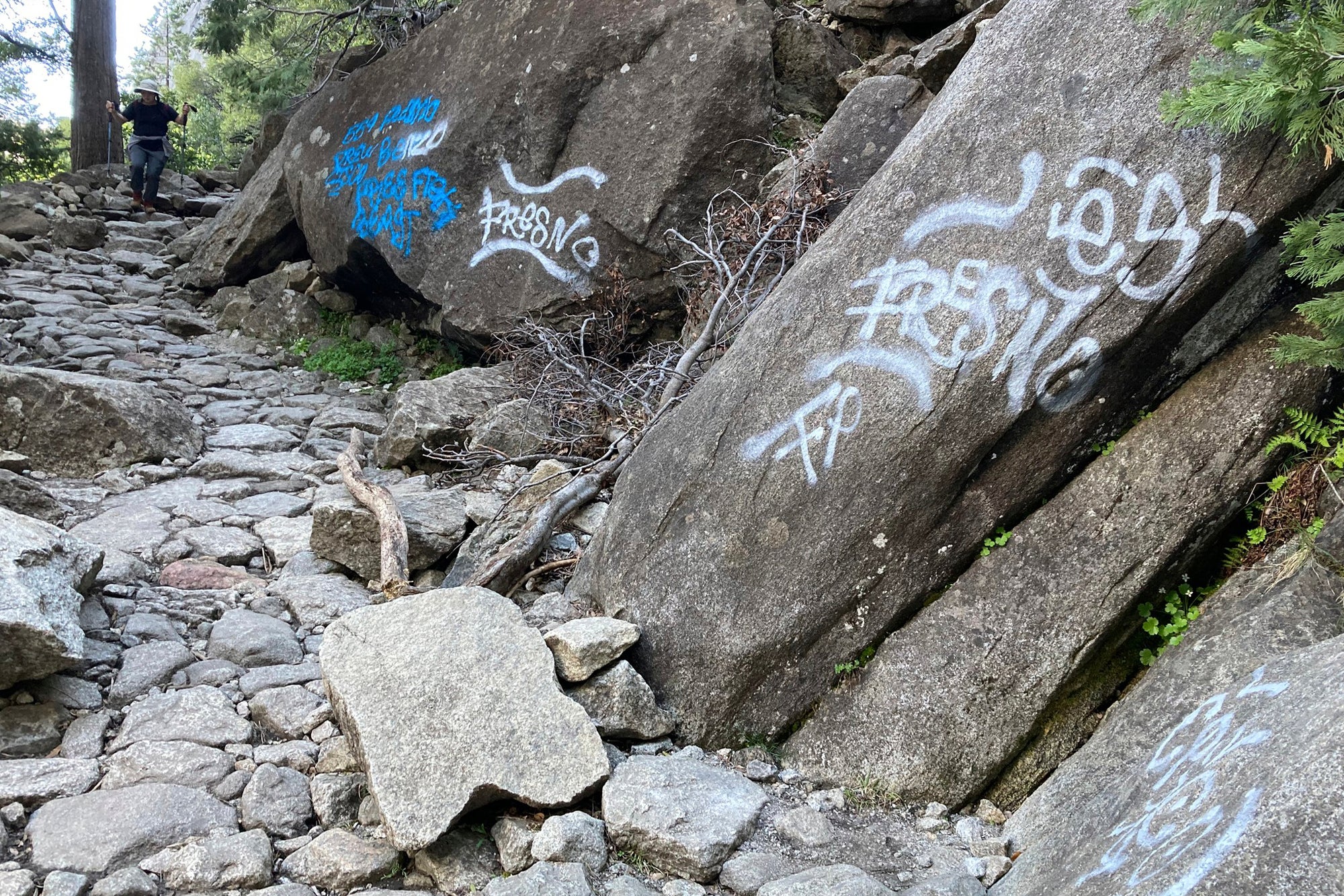 Yosemite Vandalized