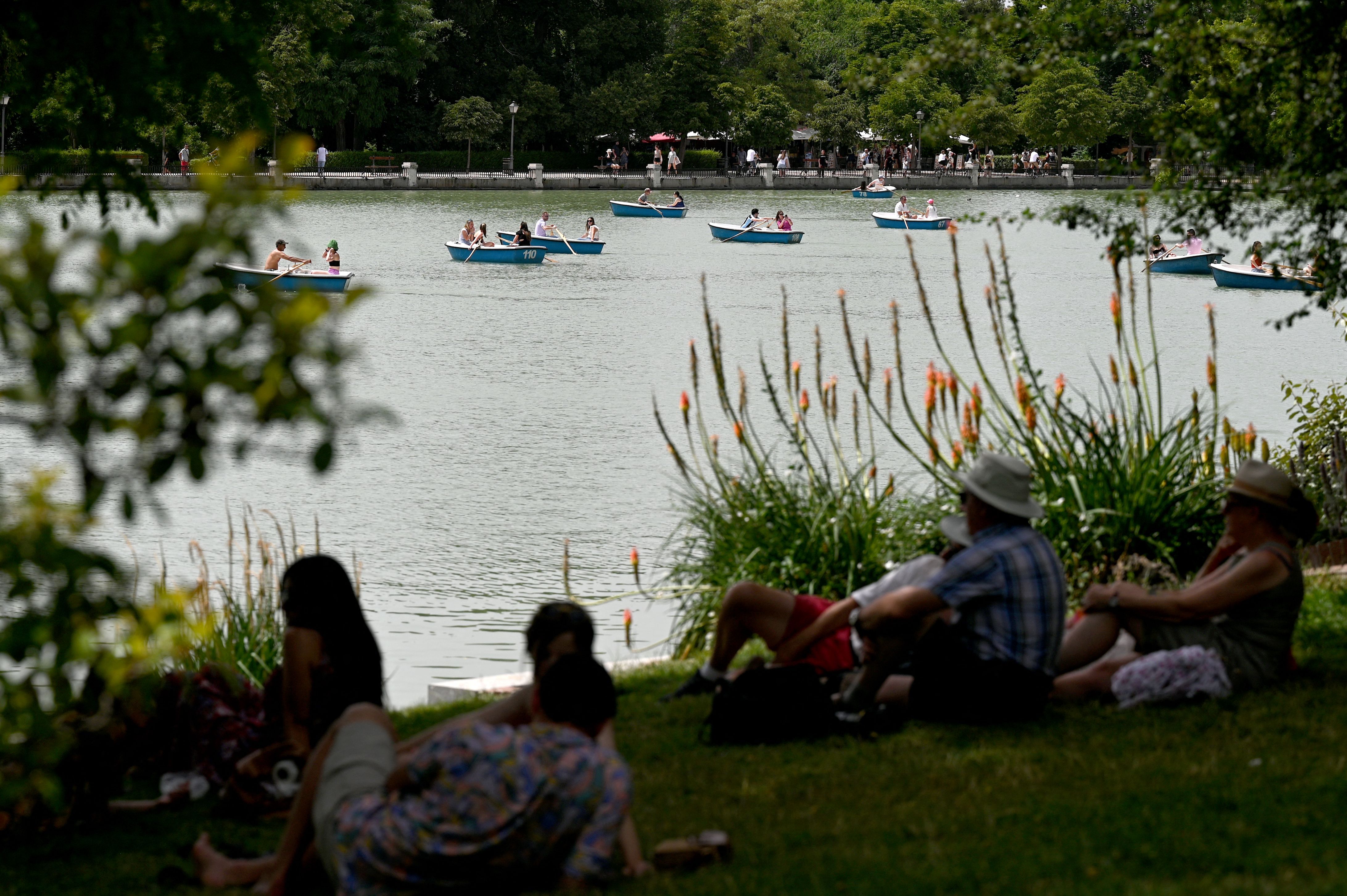 People take refuge in shade in Madrid as the city grapples with scorching weather