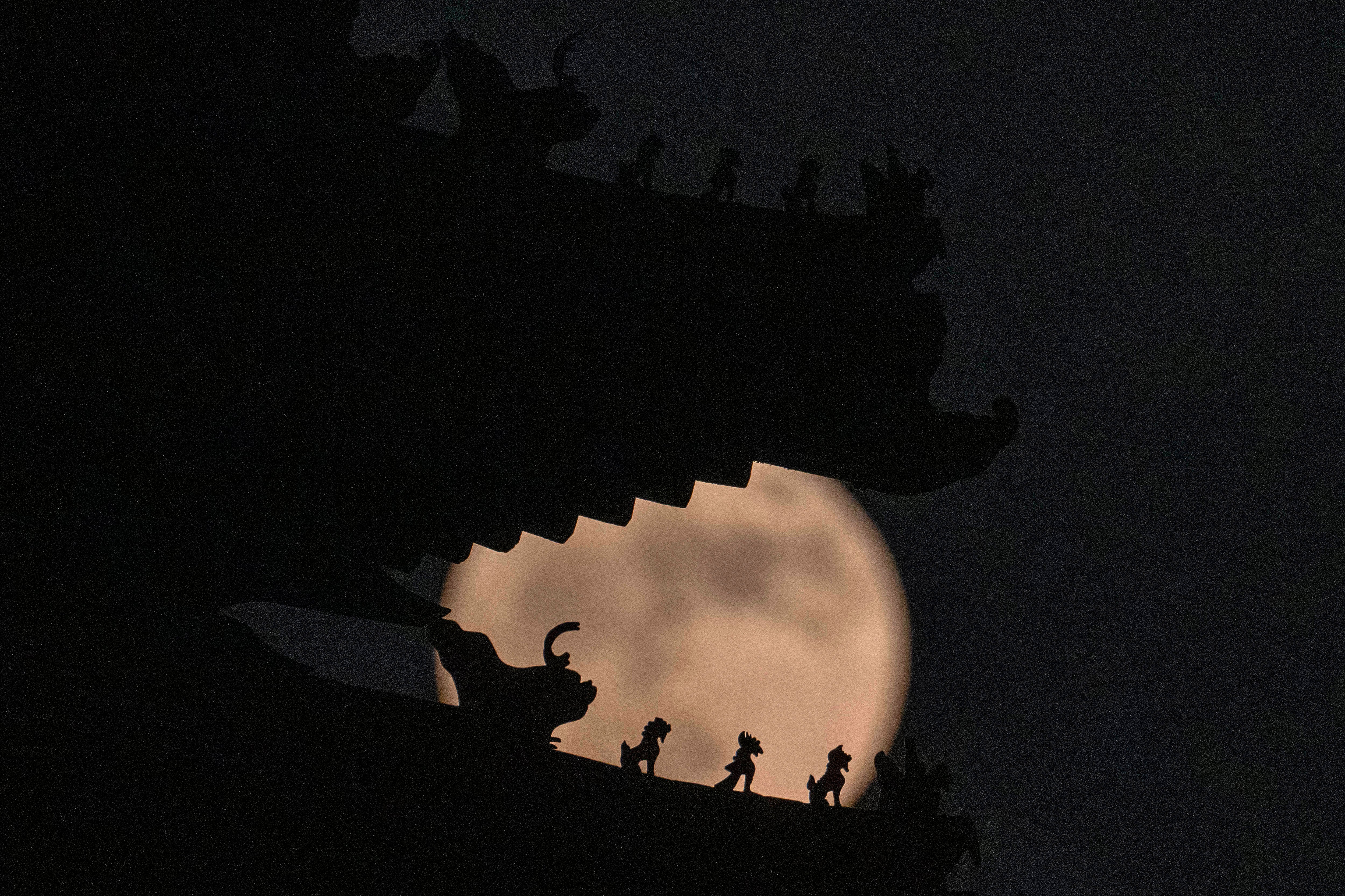 Supermoon Photo Gallery